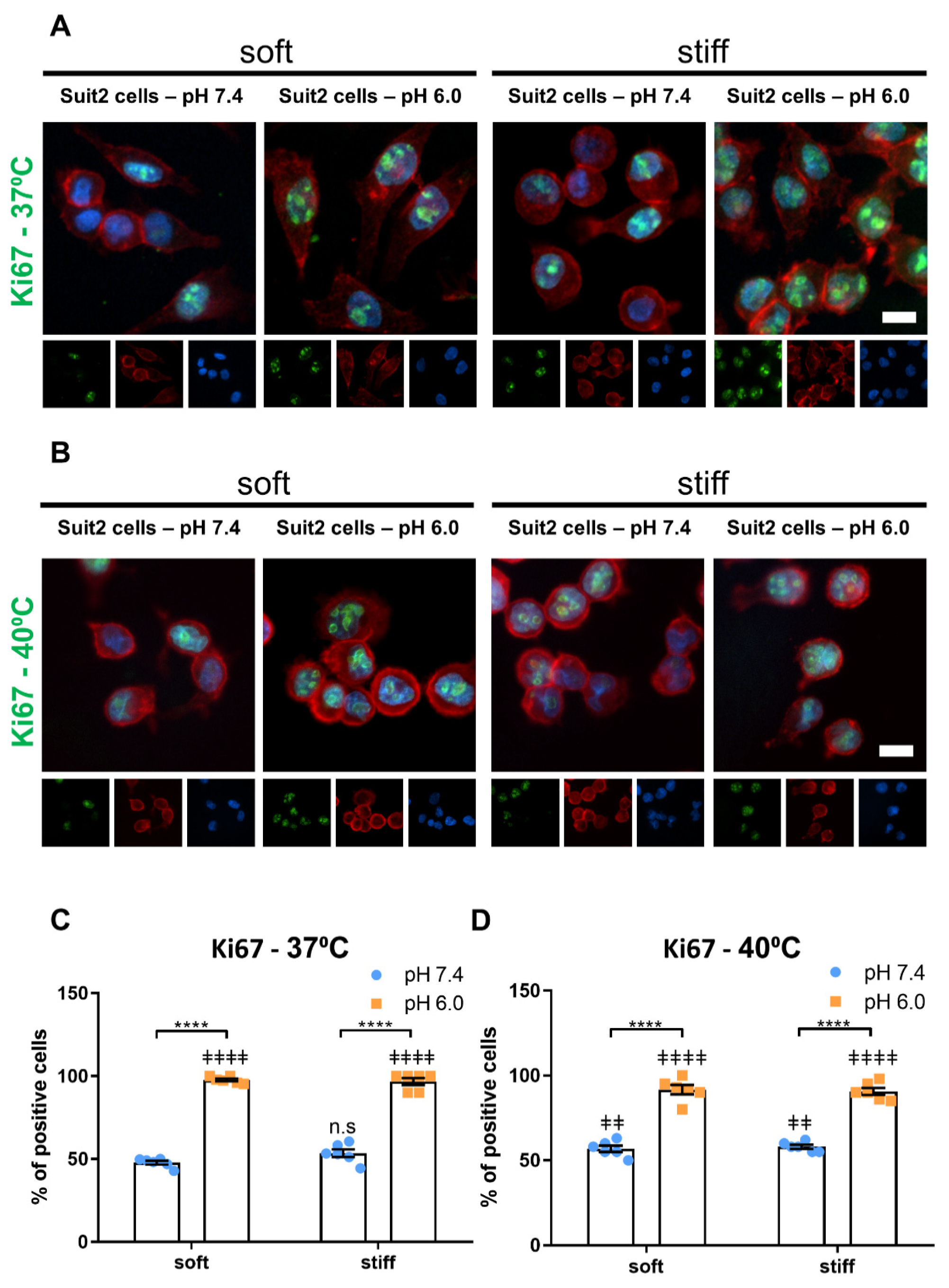 Cancers 13 03286 g003