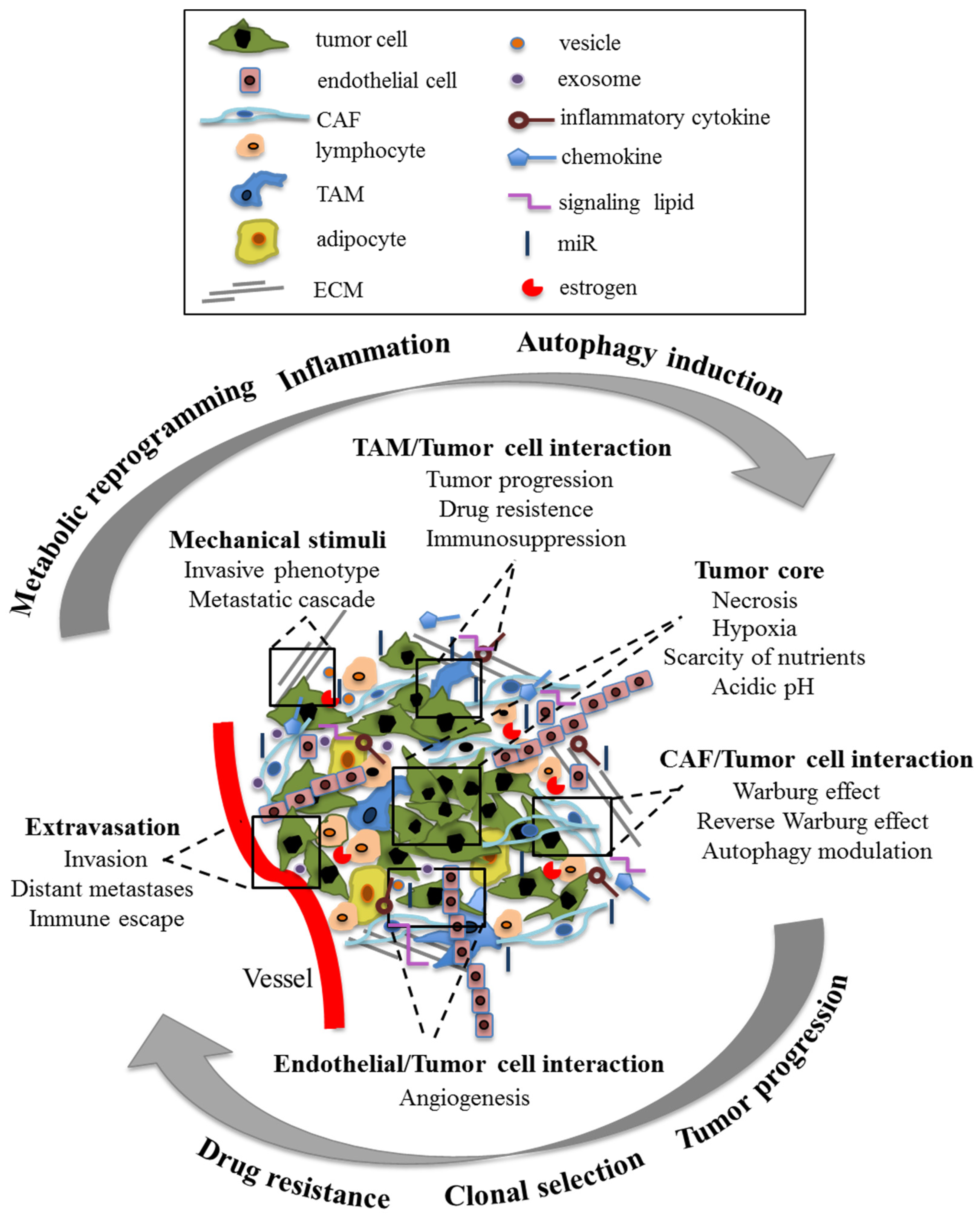 Cancers 13 03287 g001 Cancers 13 03287 g001