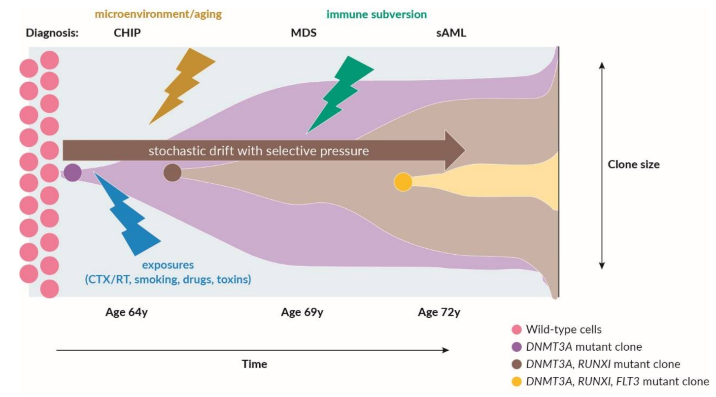 Cancers 13 03296 g001