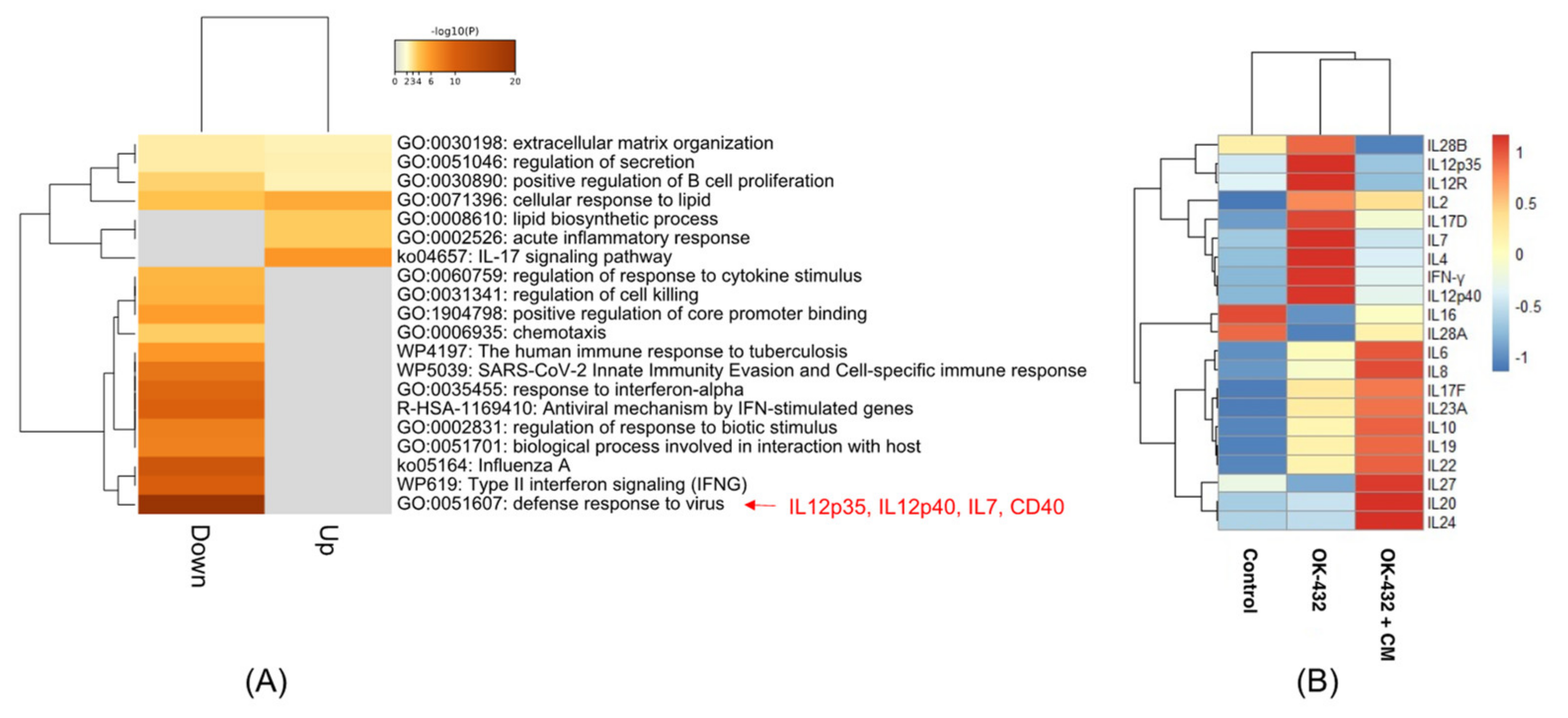 Cancers 13 03301 g001 Cancers 13 03301 g001