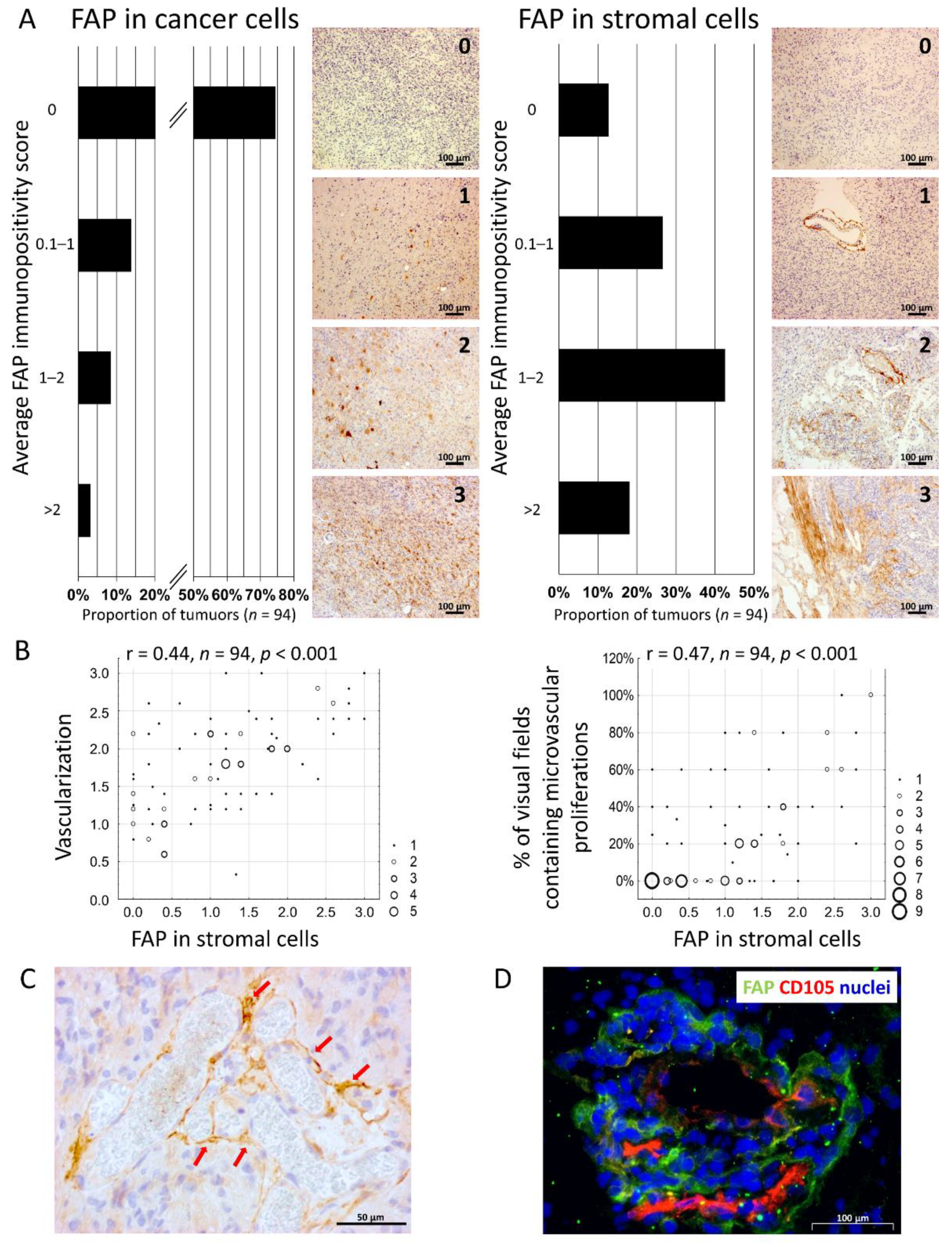 Cancers 13 03304 g001