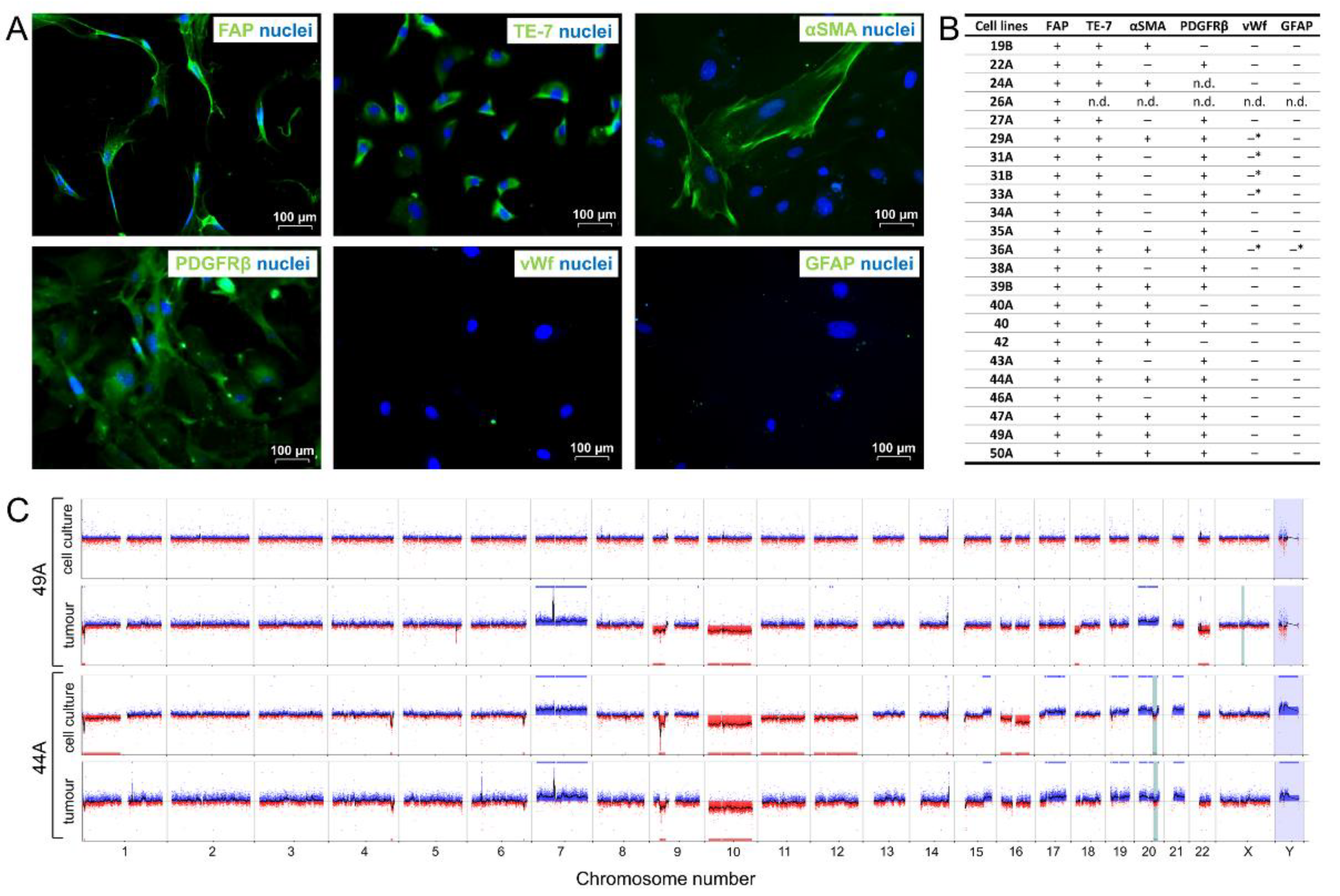 Cancers 13 03304 g002