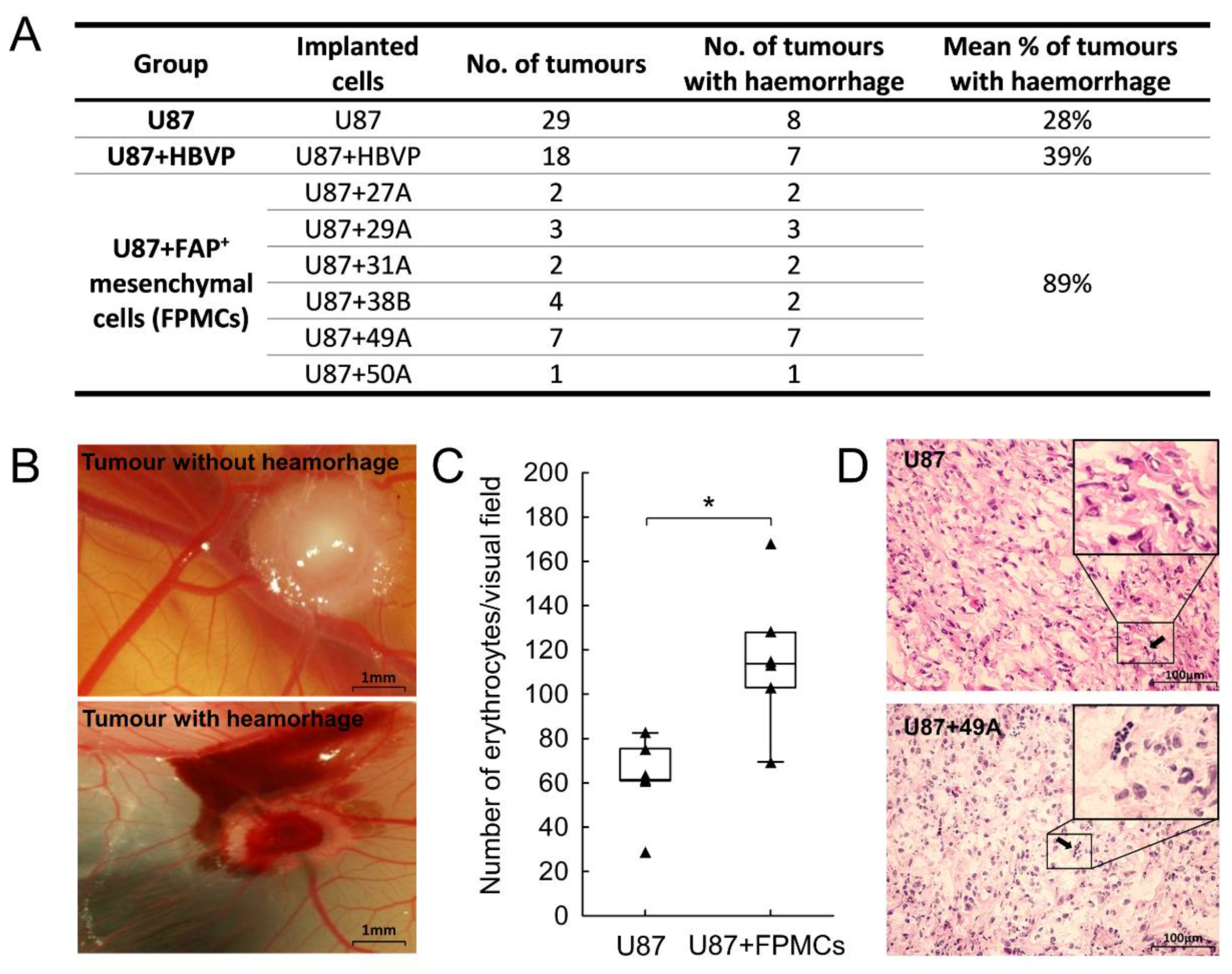 Cancers 13 03304 g007
