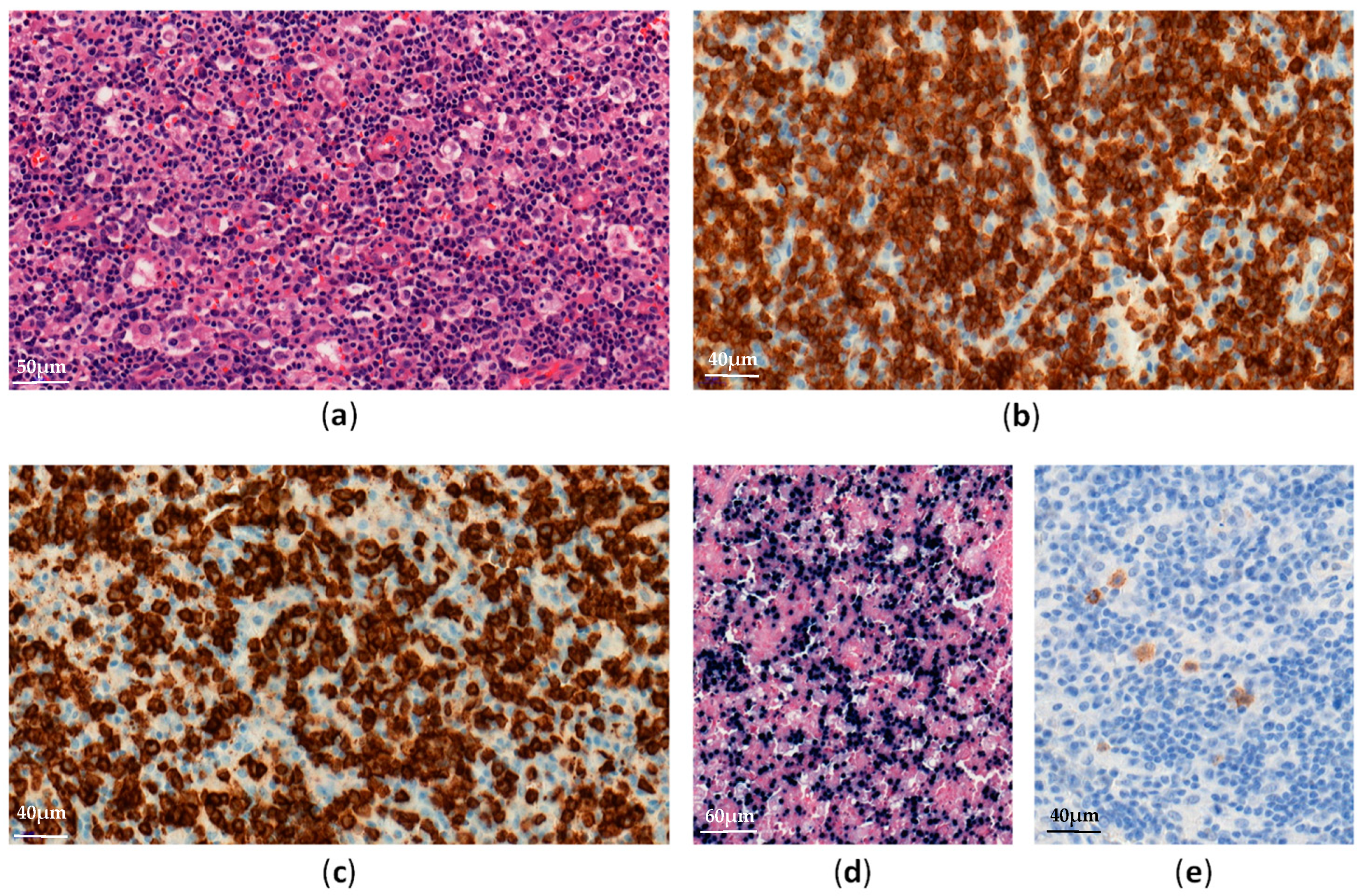 Cancers 13 03315 g001 Cancers 13 03315 g001