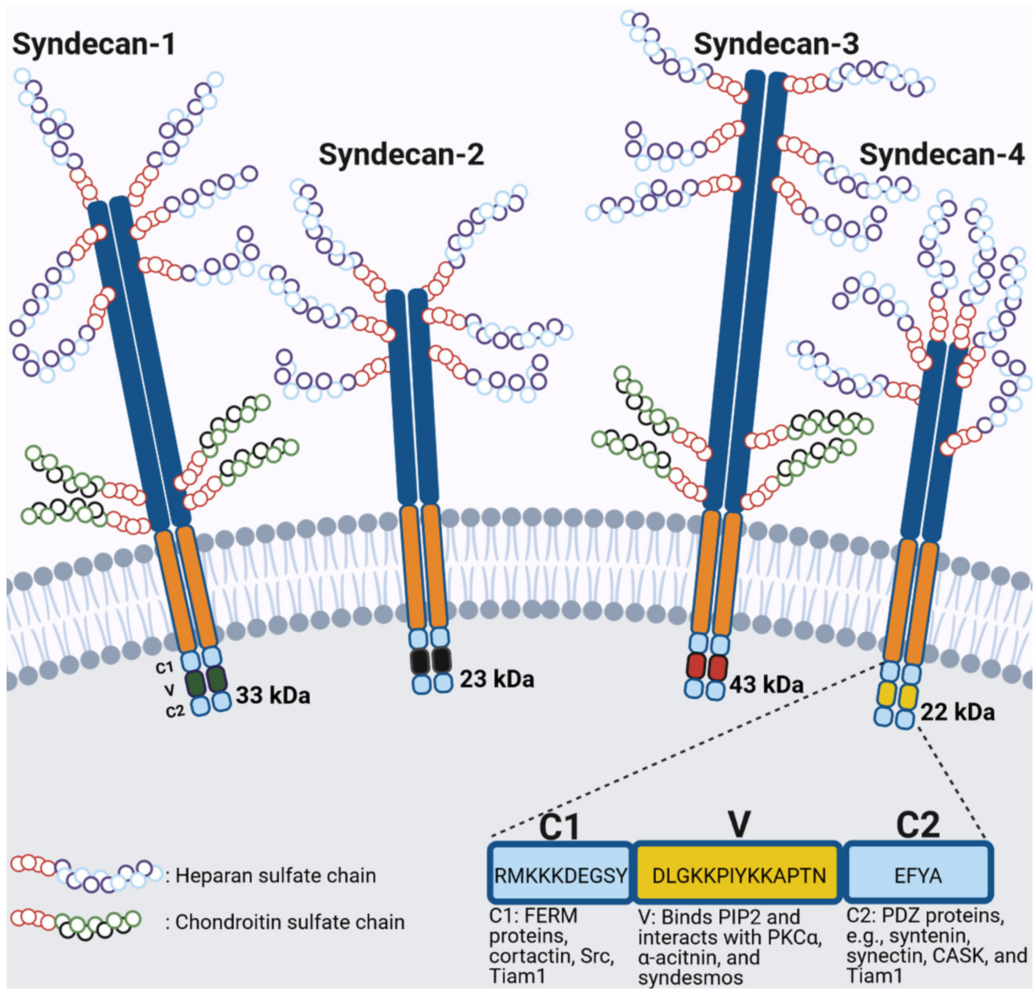 Cancers 13 03322 g002 Cancers 13 03322 g002