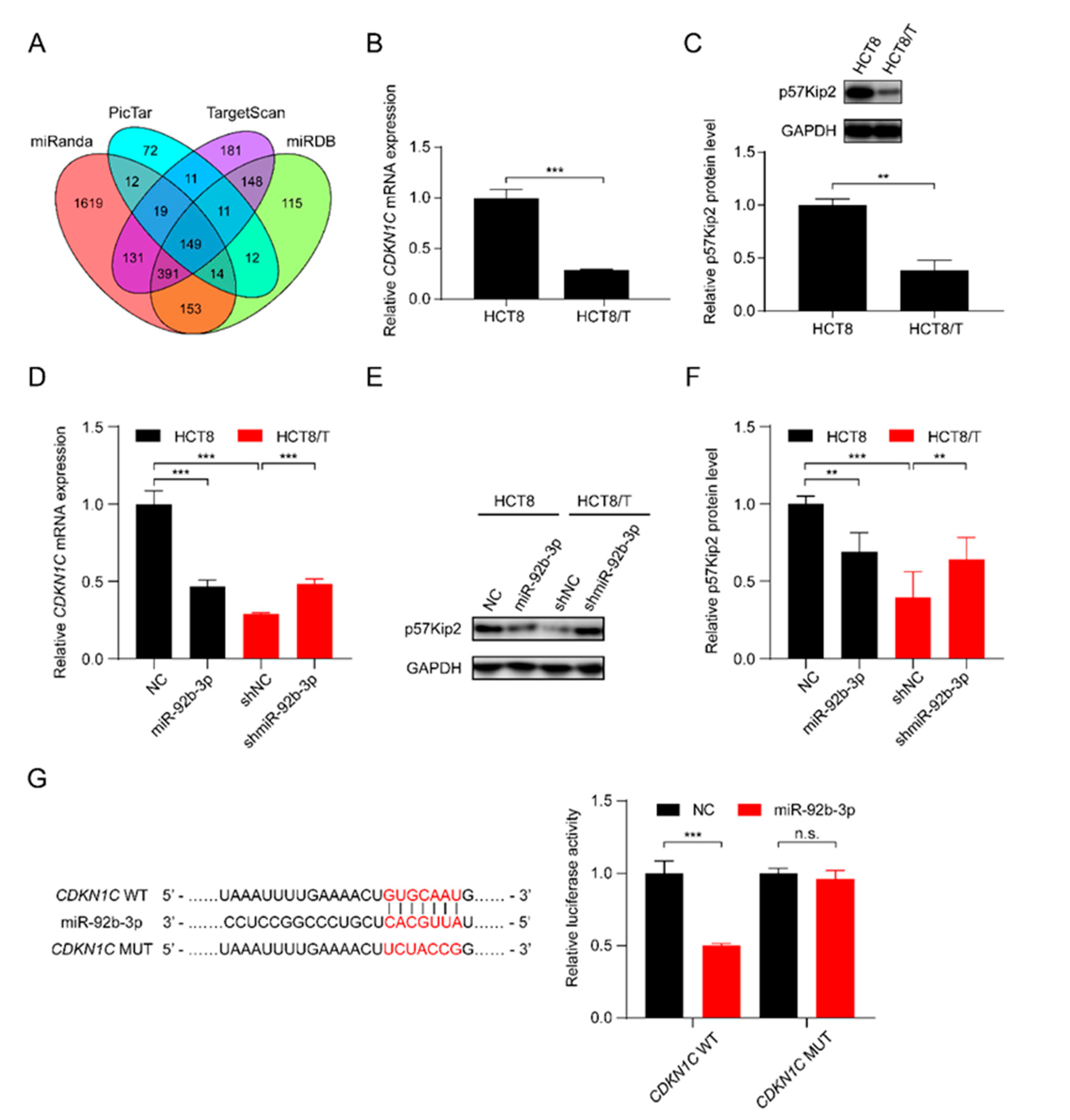 Cancers 13 03323 g003