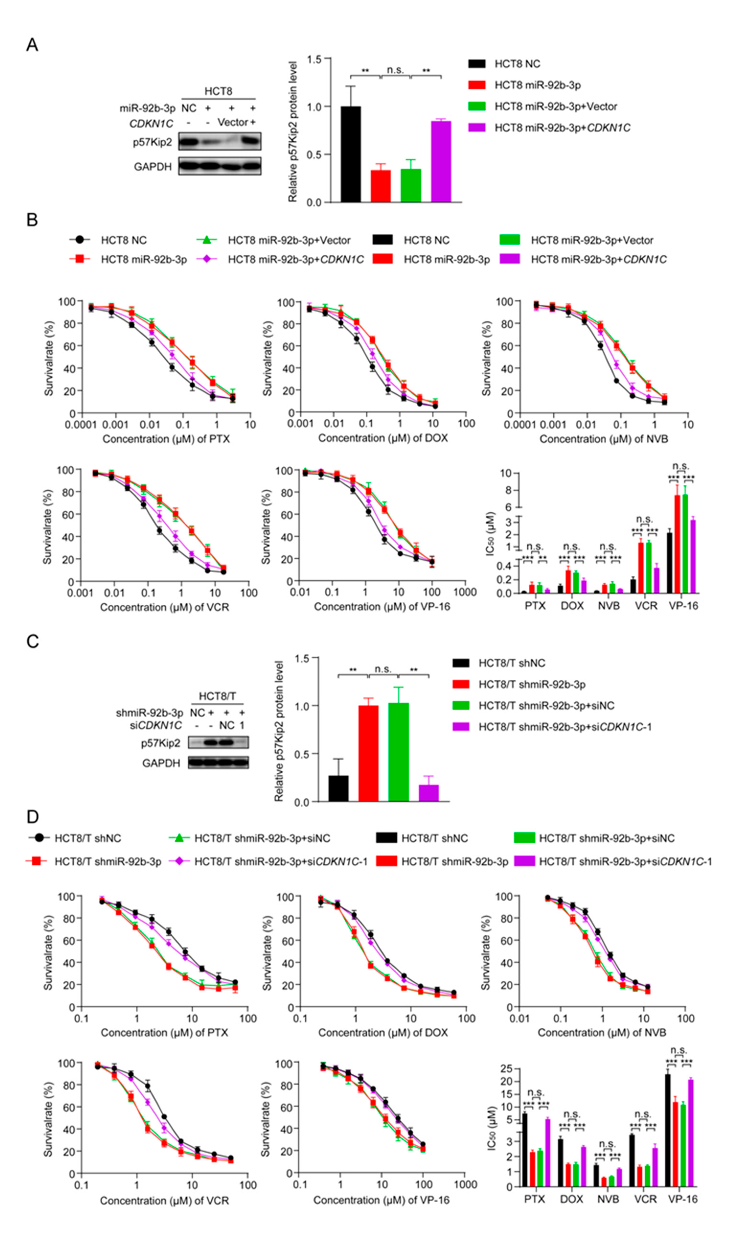 Cancers 13 03323 g005