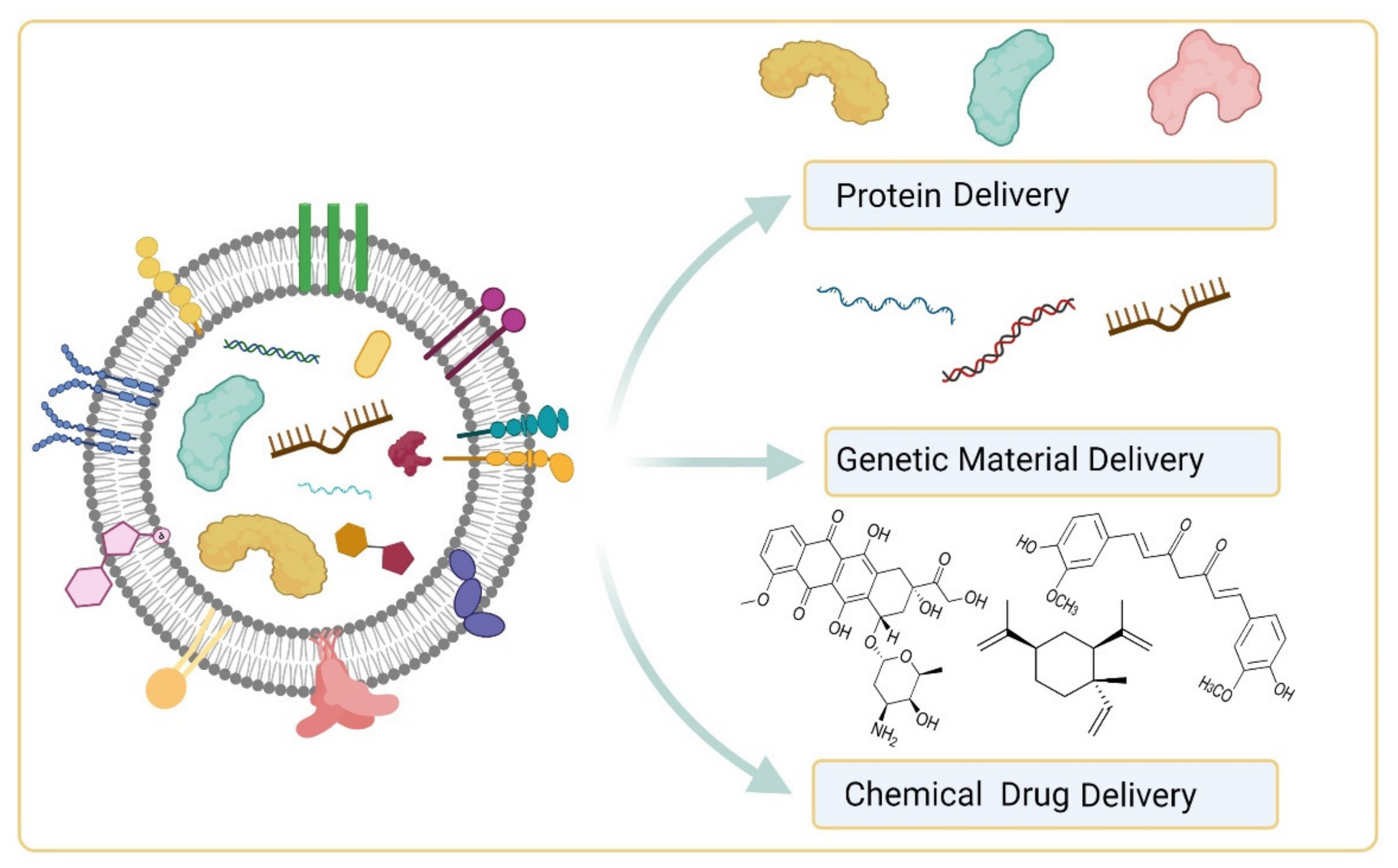 Cancers 13 03324 g003
