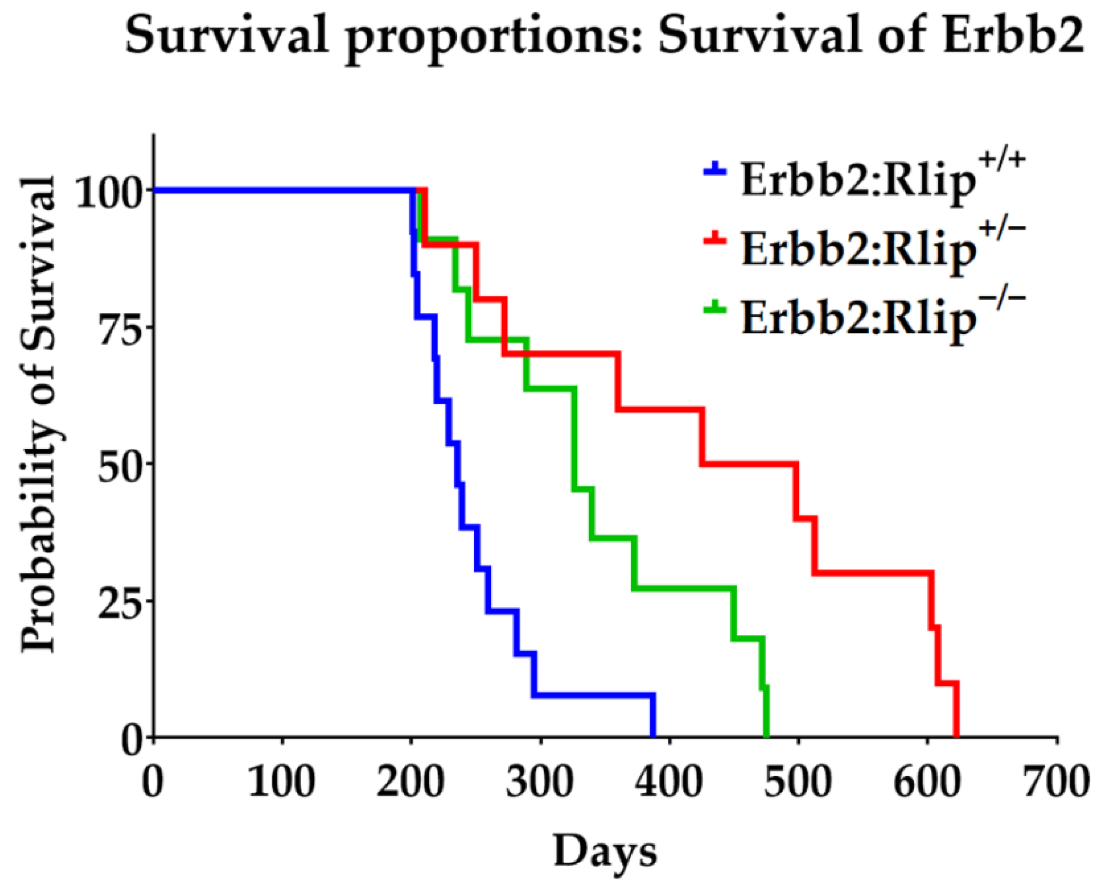 Cancers 13 03329 g002