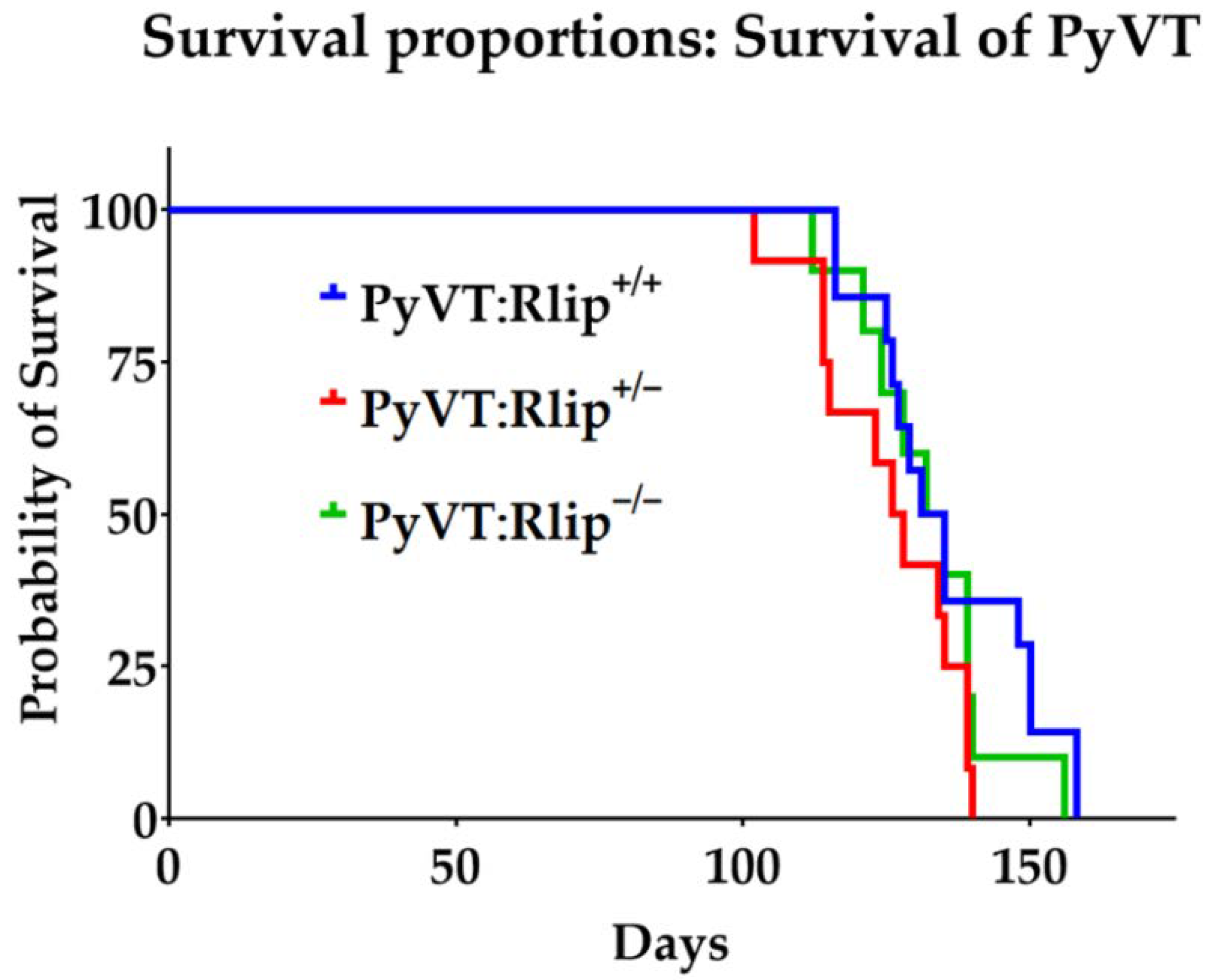 Cancers 13 03329 g003