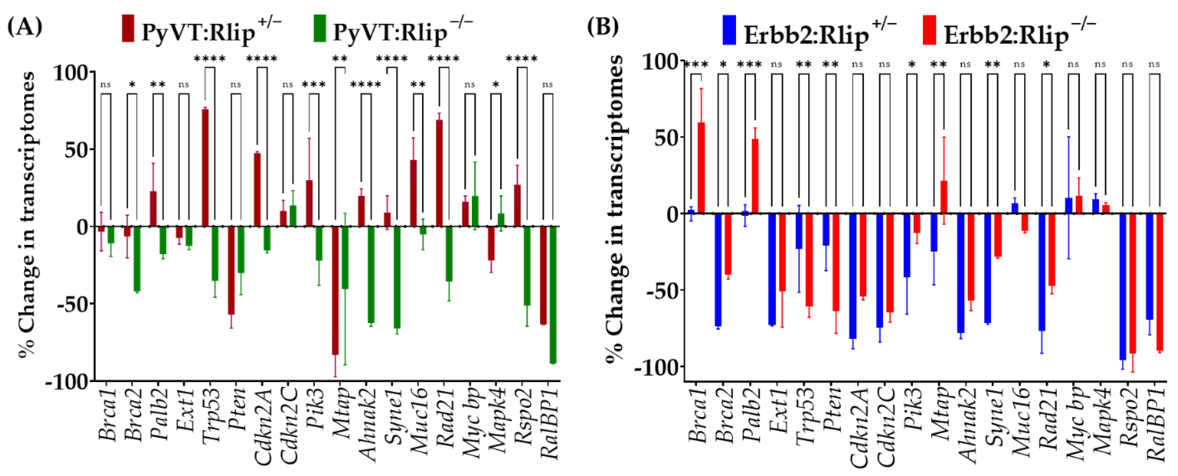 Cancers 13 03329 g007