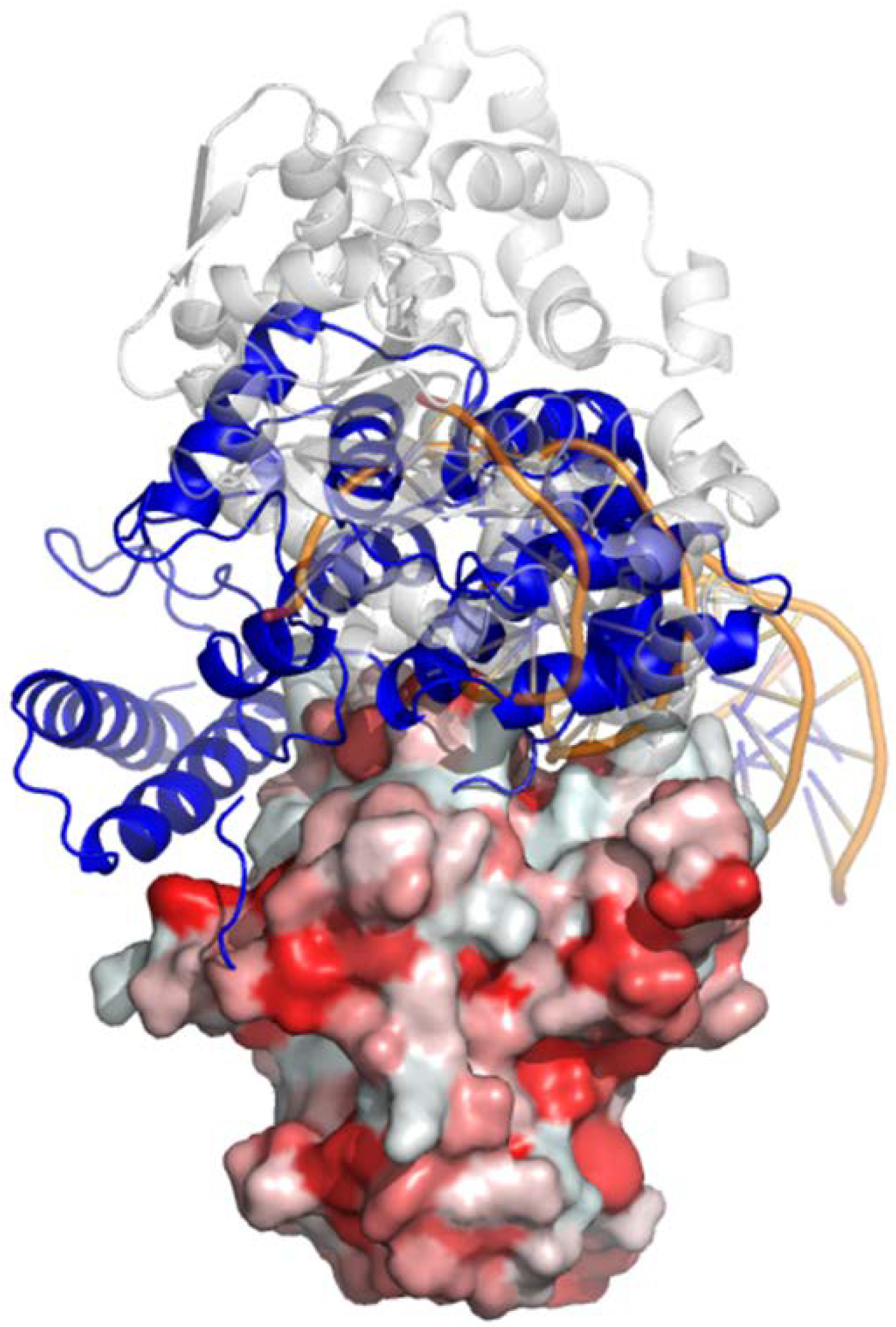 Cancers 13 03329 g008