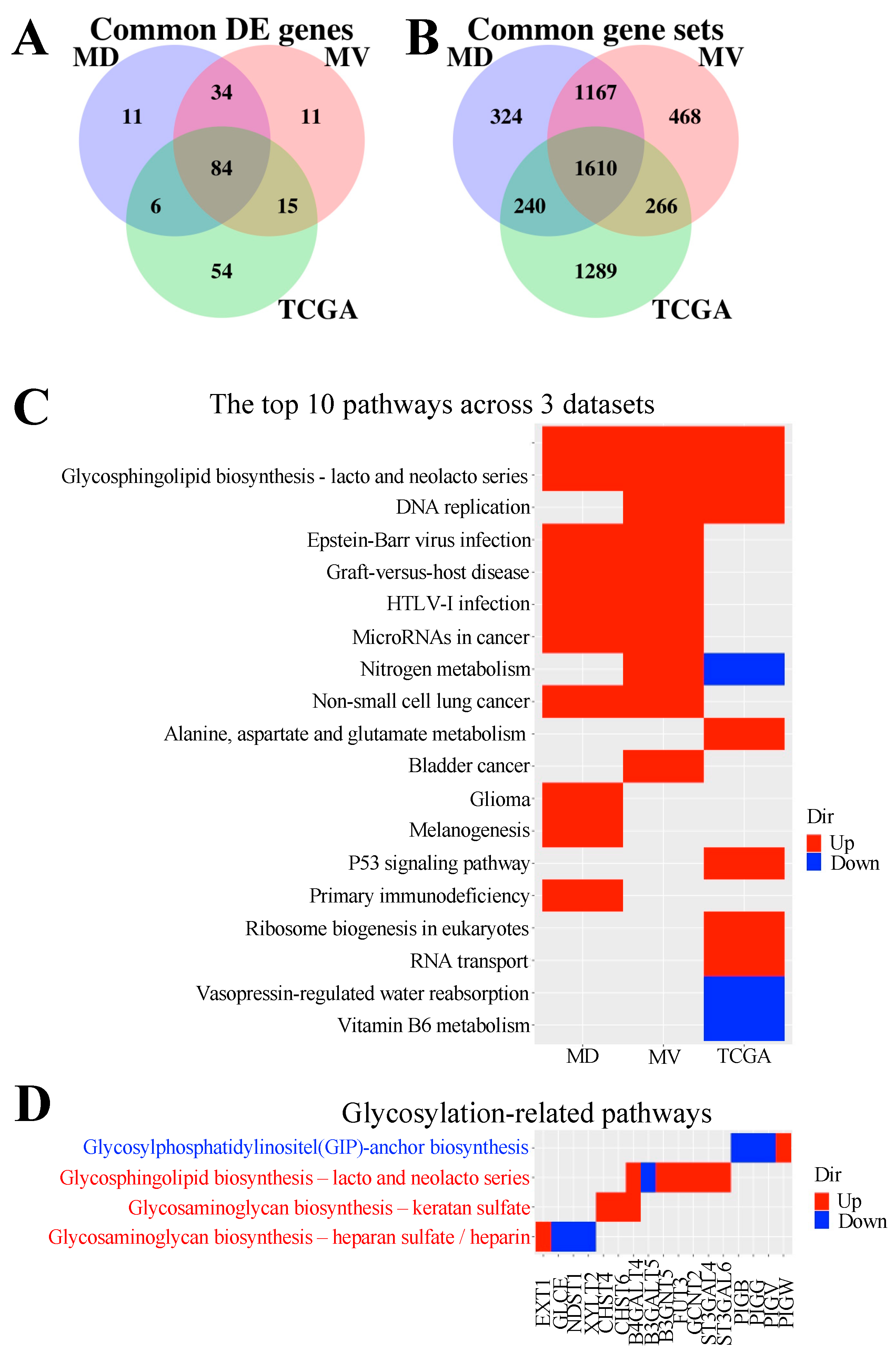 Cancers 13 03330 g004 Cancers 13 03330 g004