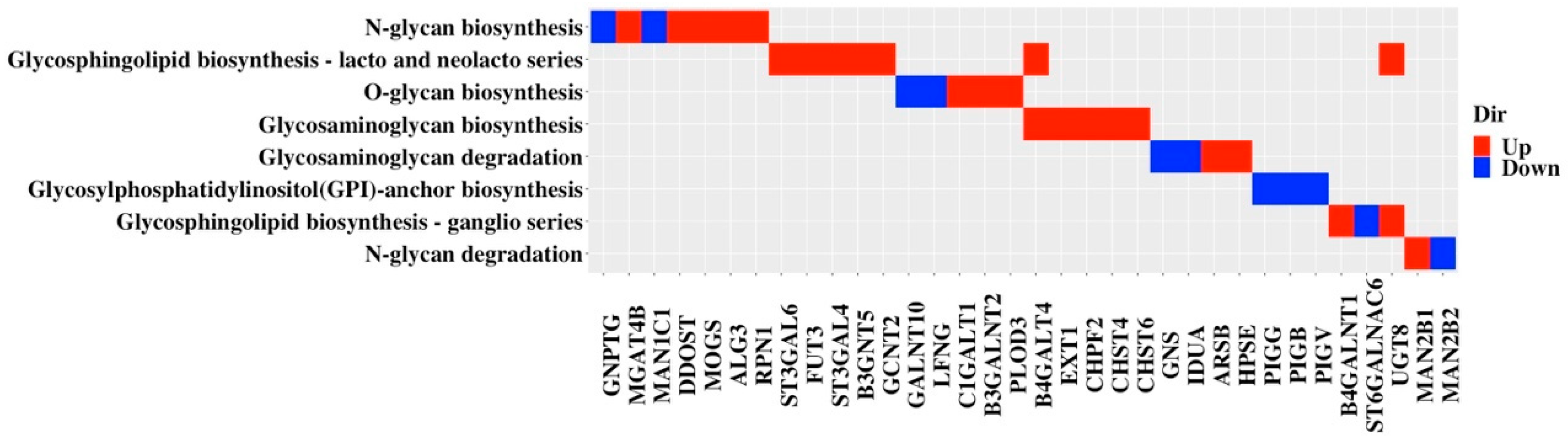 Cancers 13 03330 g006 Cancers 13 03330 g006