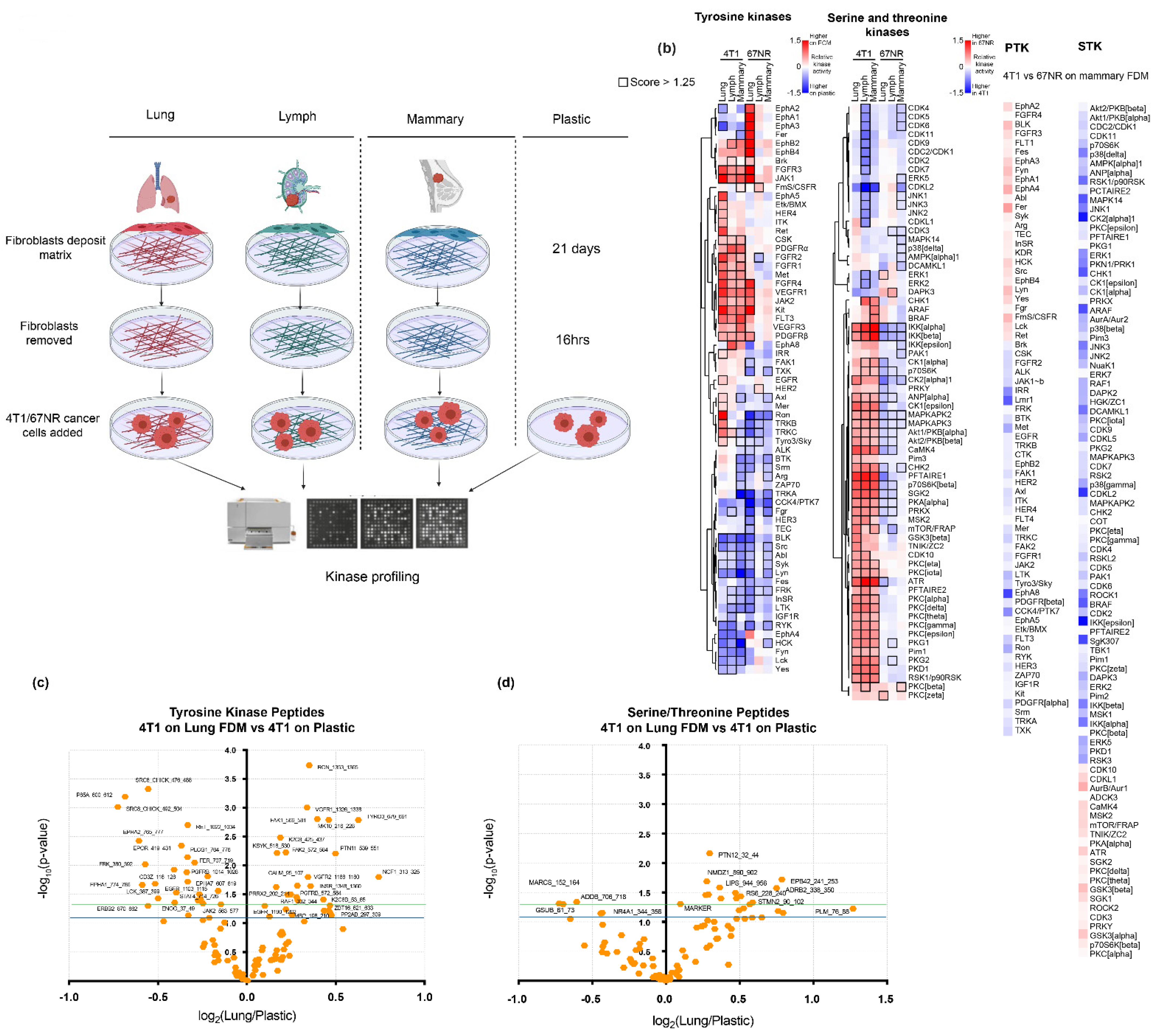 Cancers 13 03331 g002 550