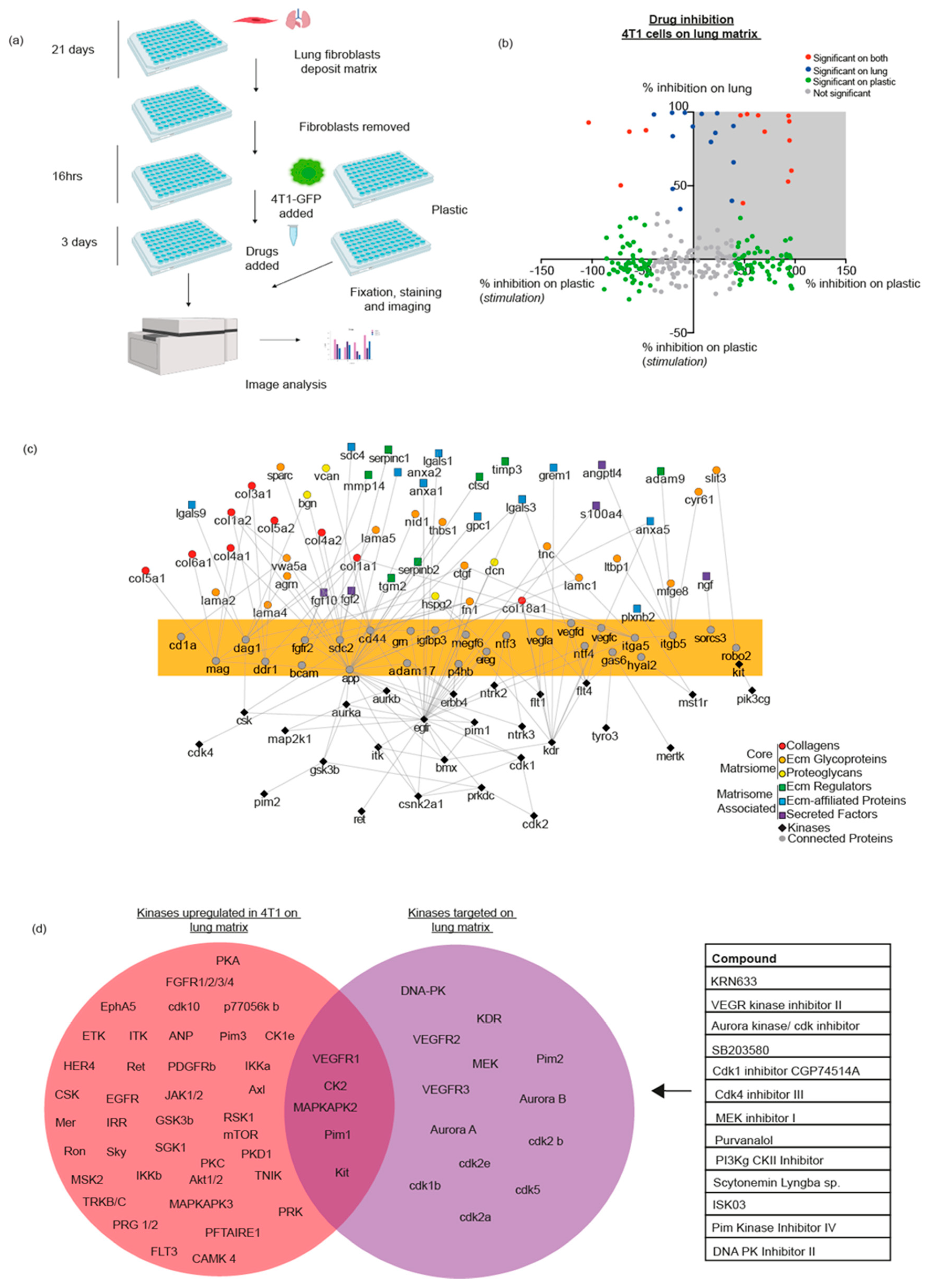 Cancers 13 03331 g003 550