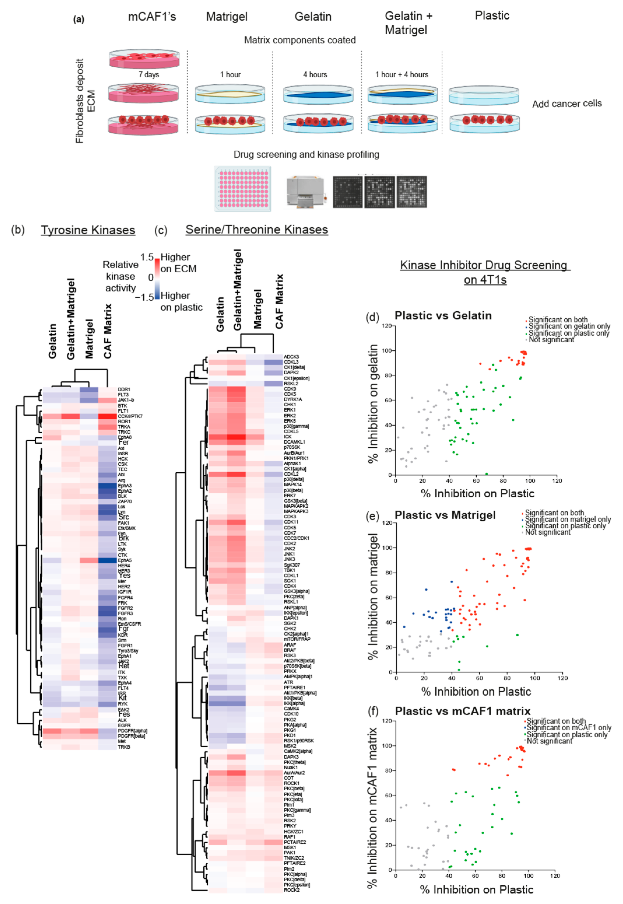 Cancers 13 03331 g004 550
