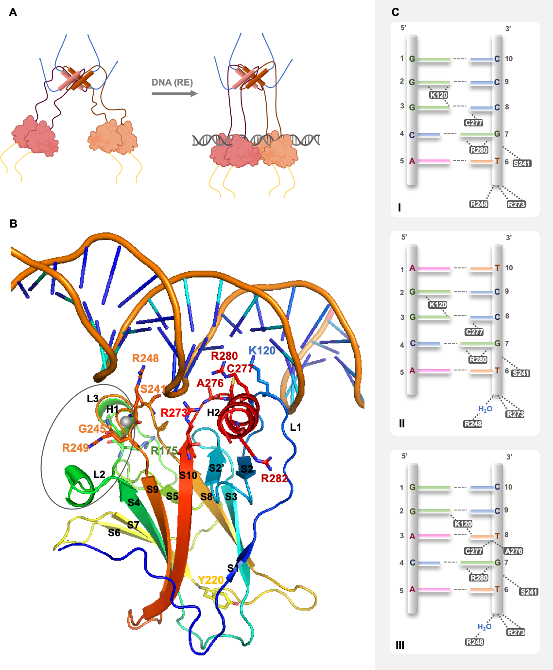 Cancers 13 03344 g003 Cancers 13 03344 g003