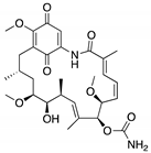 Cancers 13 03344 i037 Cancers 13 03344 i037