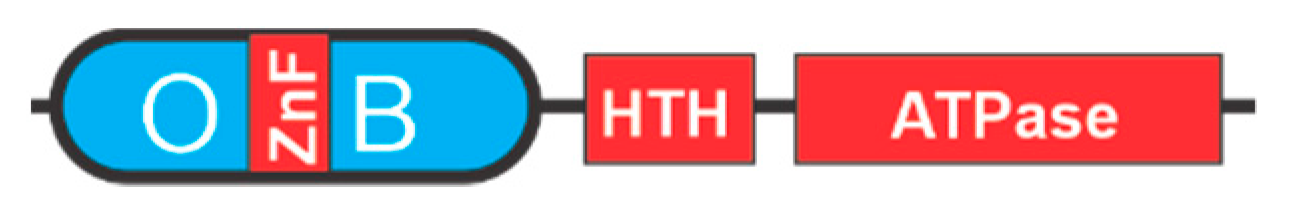 Cancers 13 03346 g005