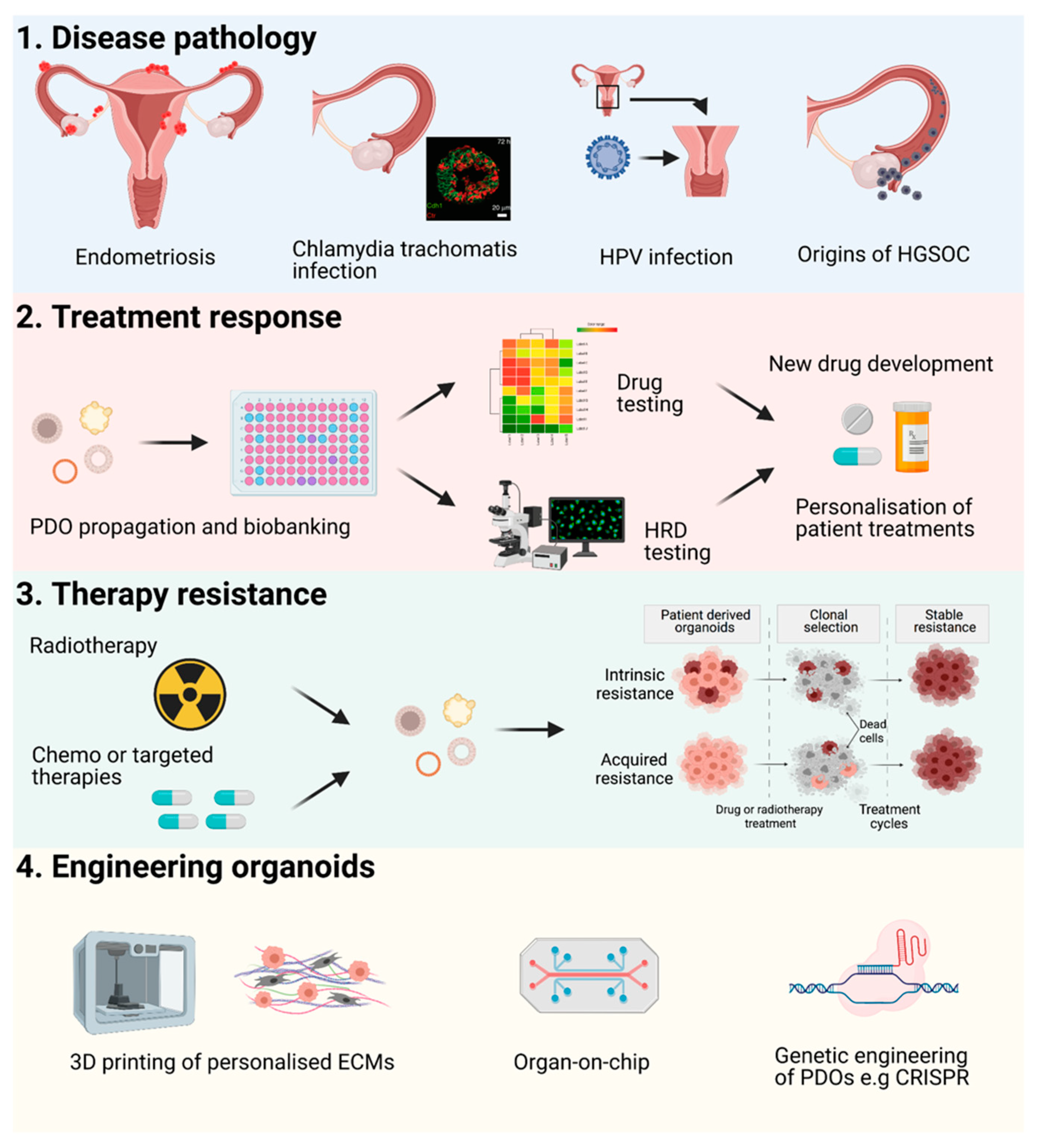 Cancers 13 03349 g002 Cancers 13 03349 g002