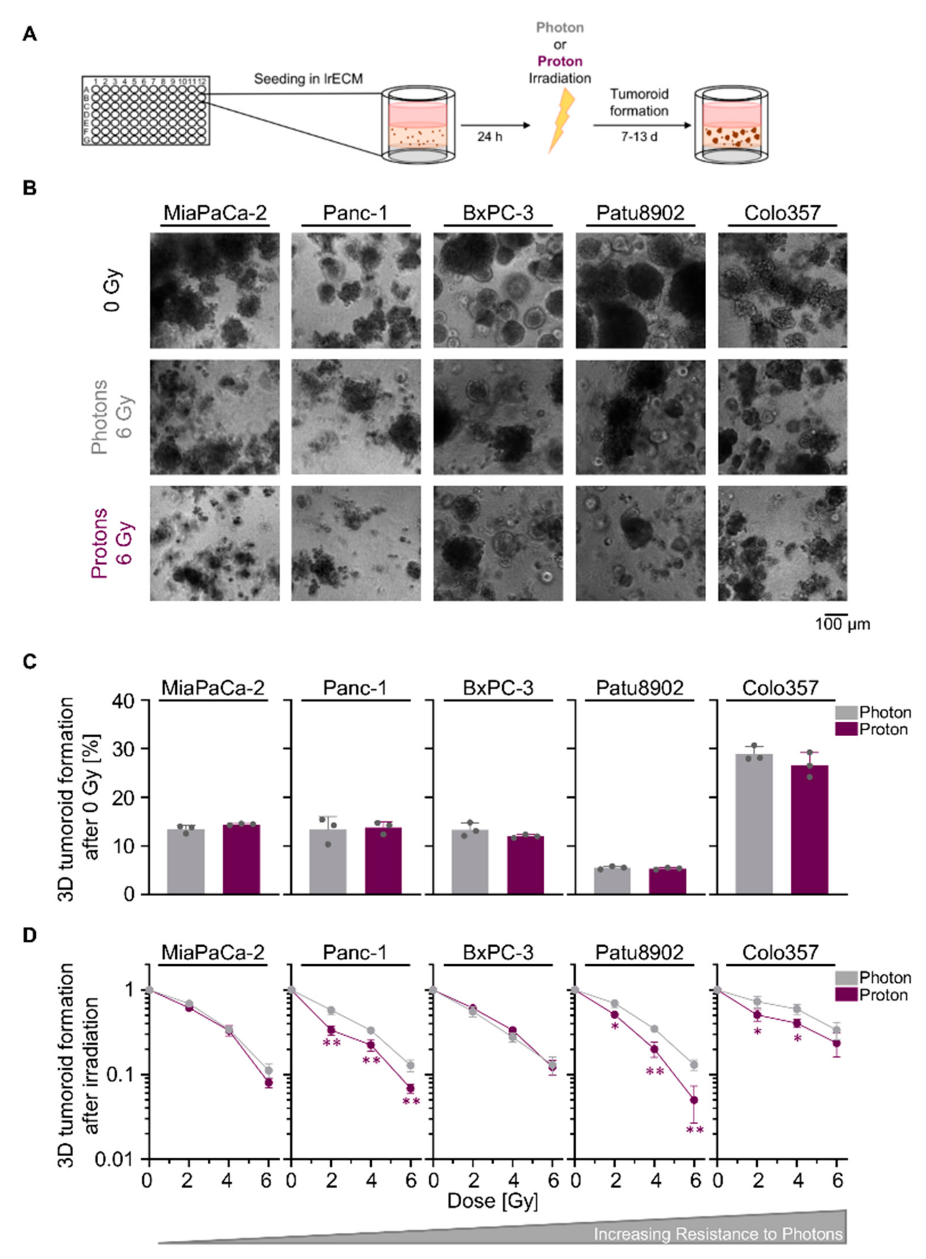 Cancers 13 03364 g001