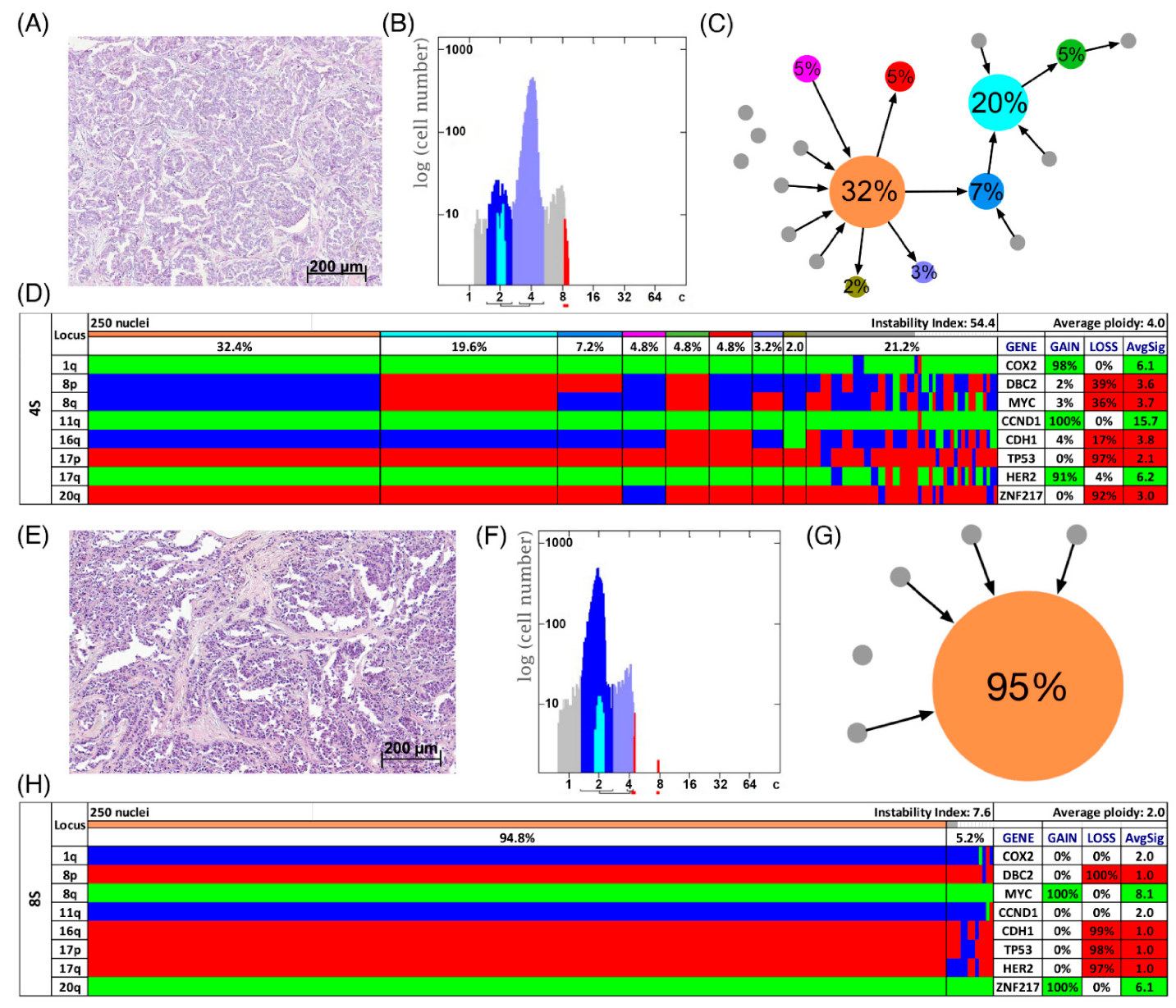 Cancers 13 03366 g004 Cancers 13 03366 g004