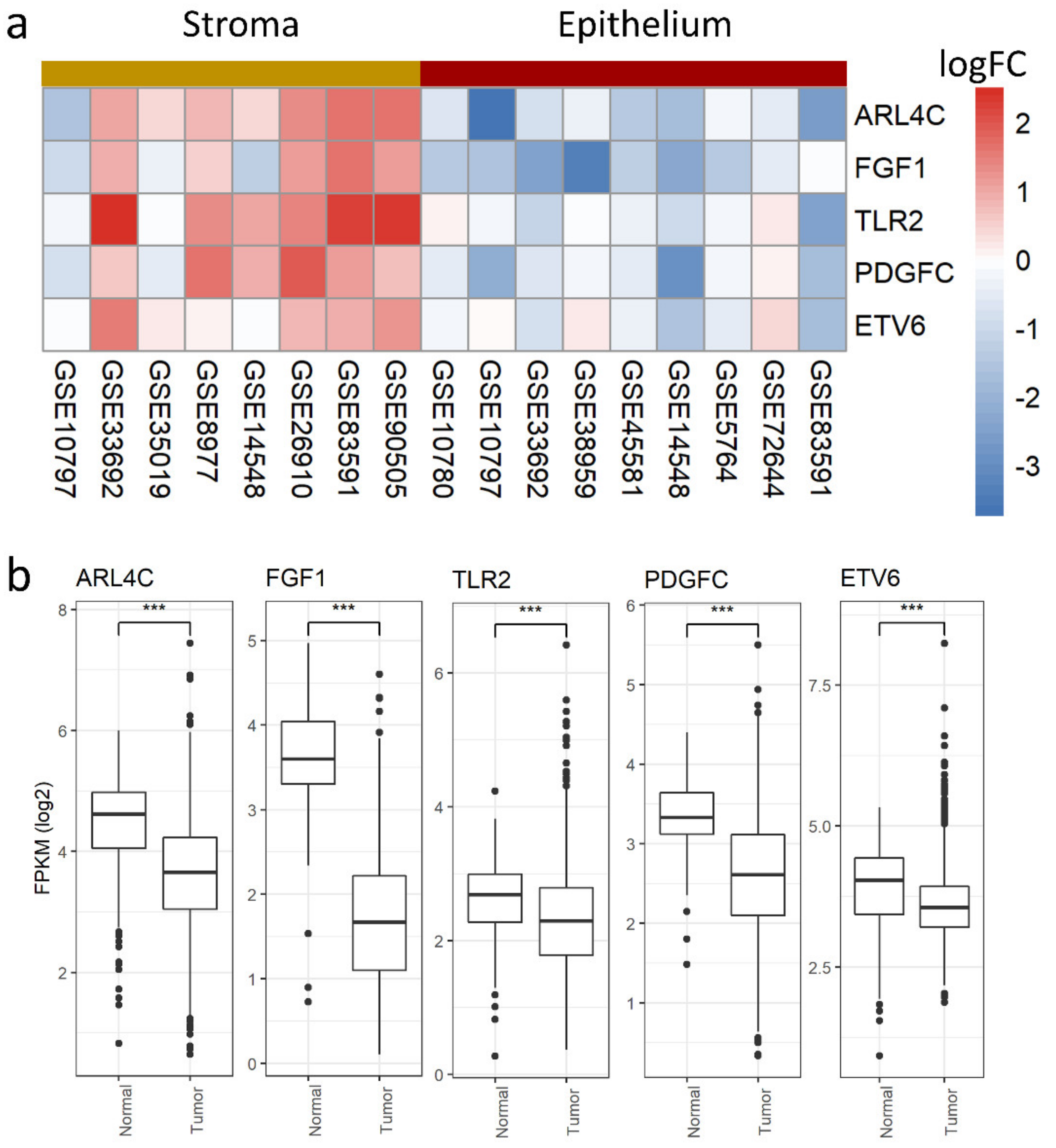 Cancers 13 03371 g004