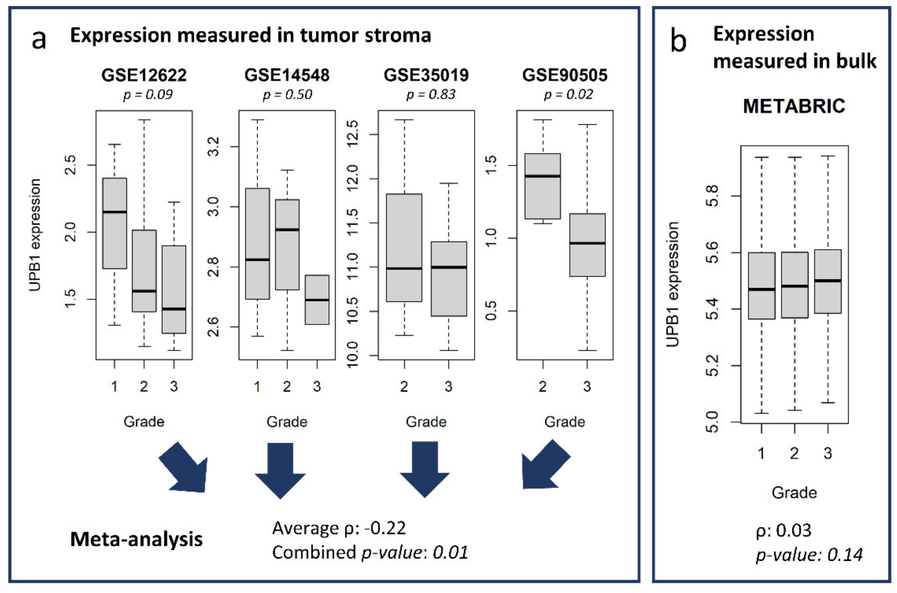 Cancers 13 03371 g006