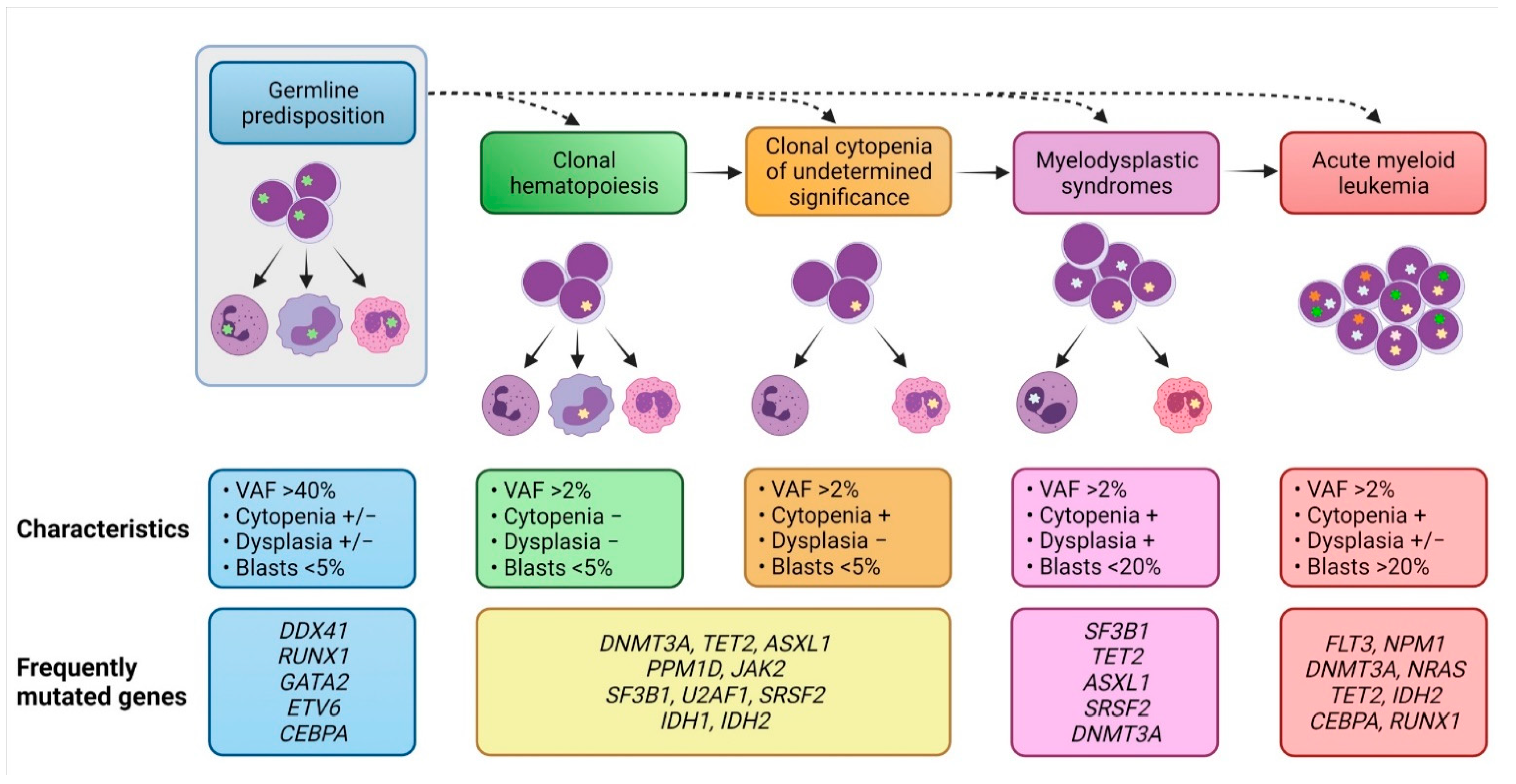 Cancers 13 03380 g002 Cancers 13 03380 g002