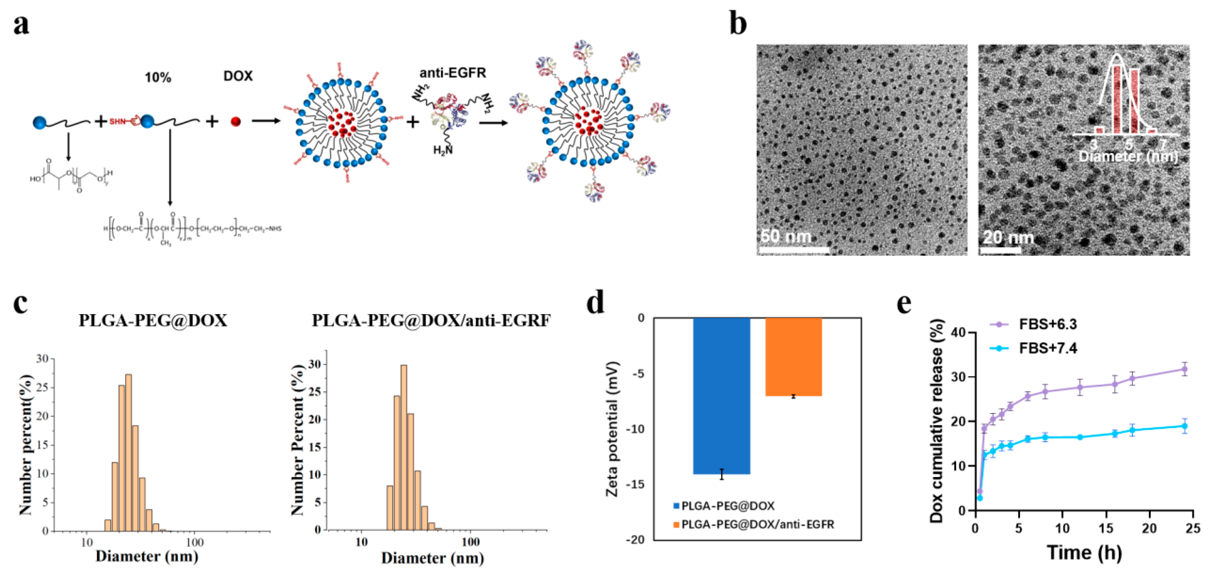 Cancers 13 03383 g001 550