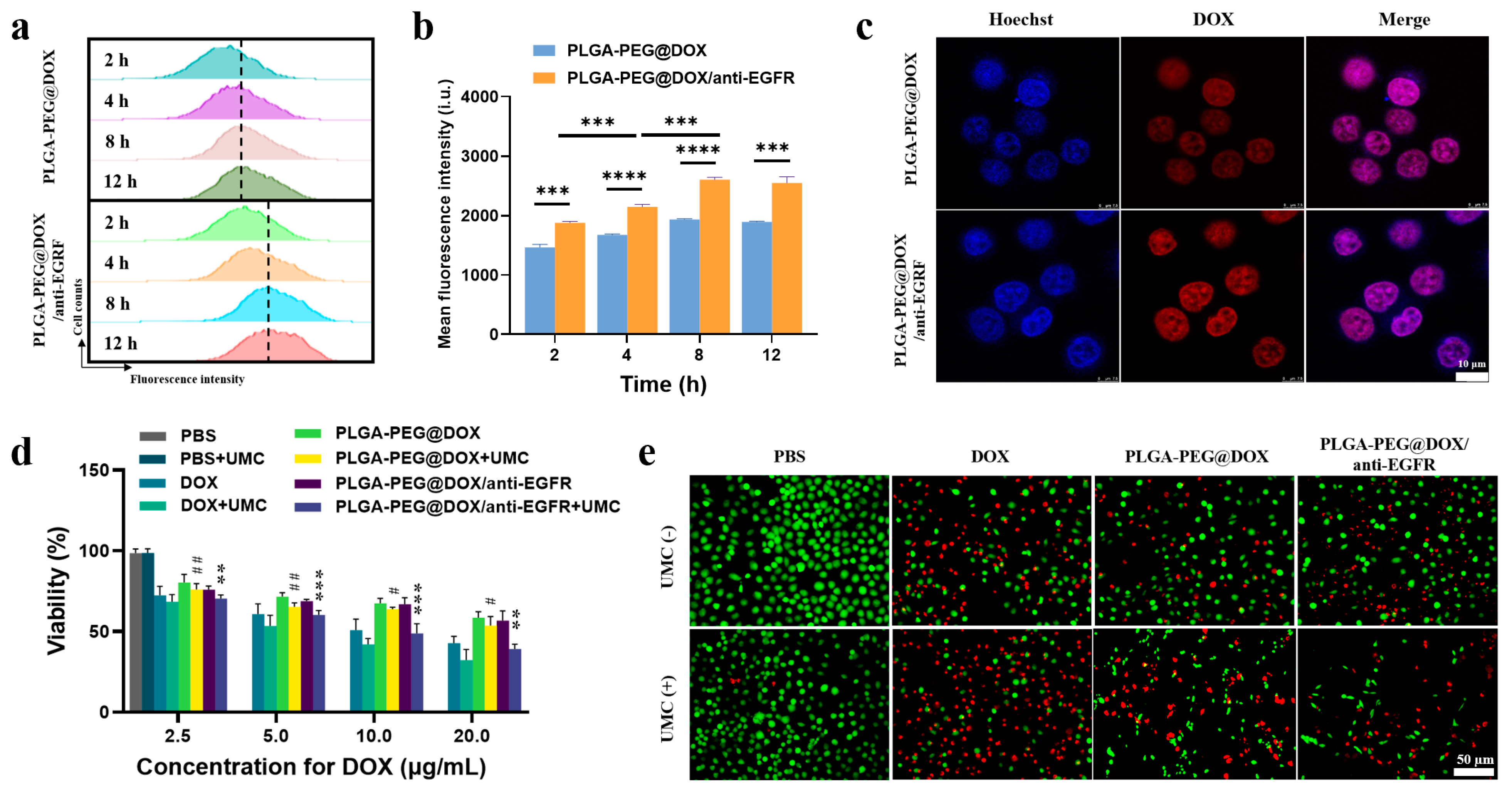 Cancers 13 03383 g003 550