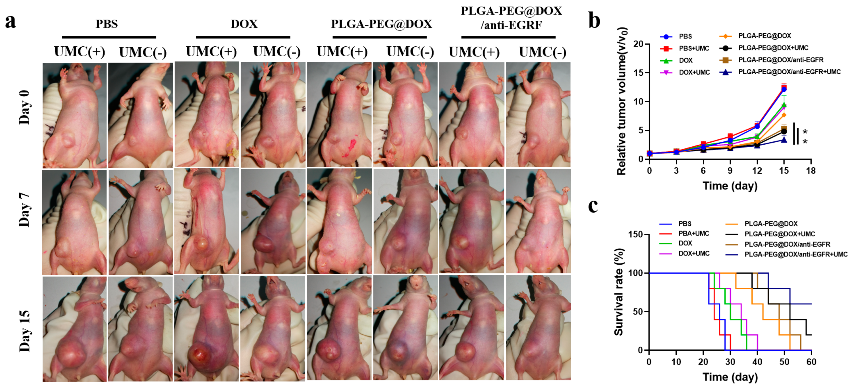 Cancers 13 03383 g006 550