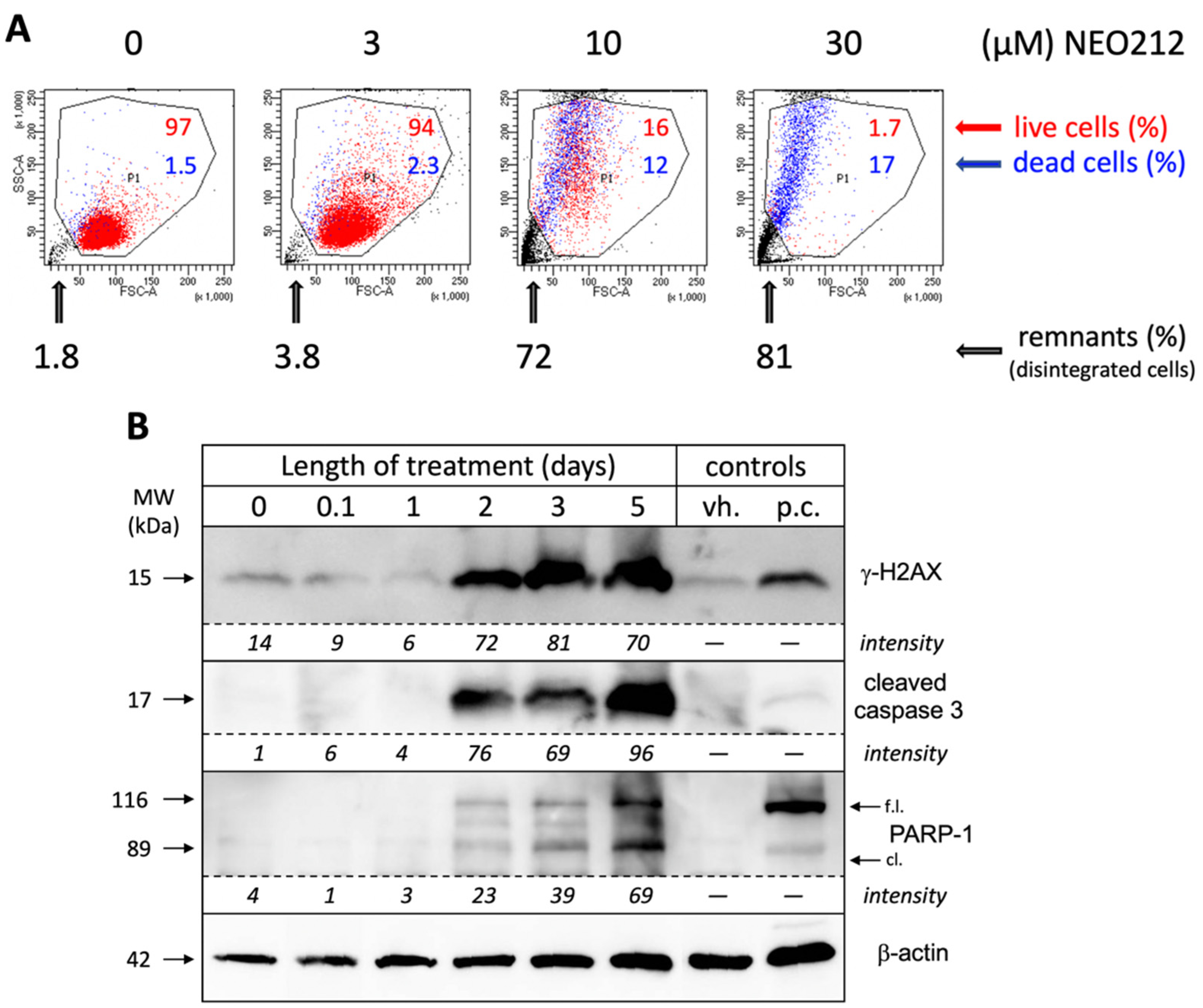 Cancers 13 03385 g003 550