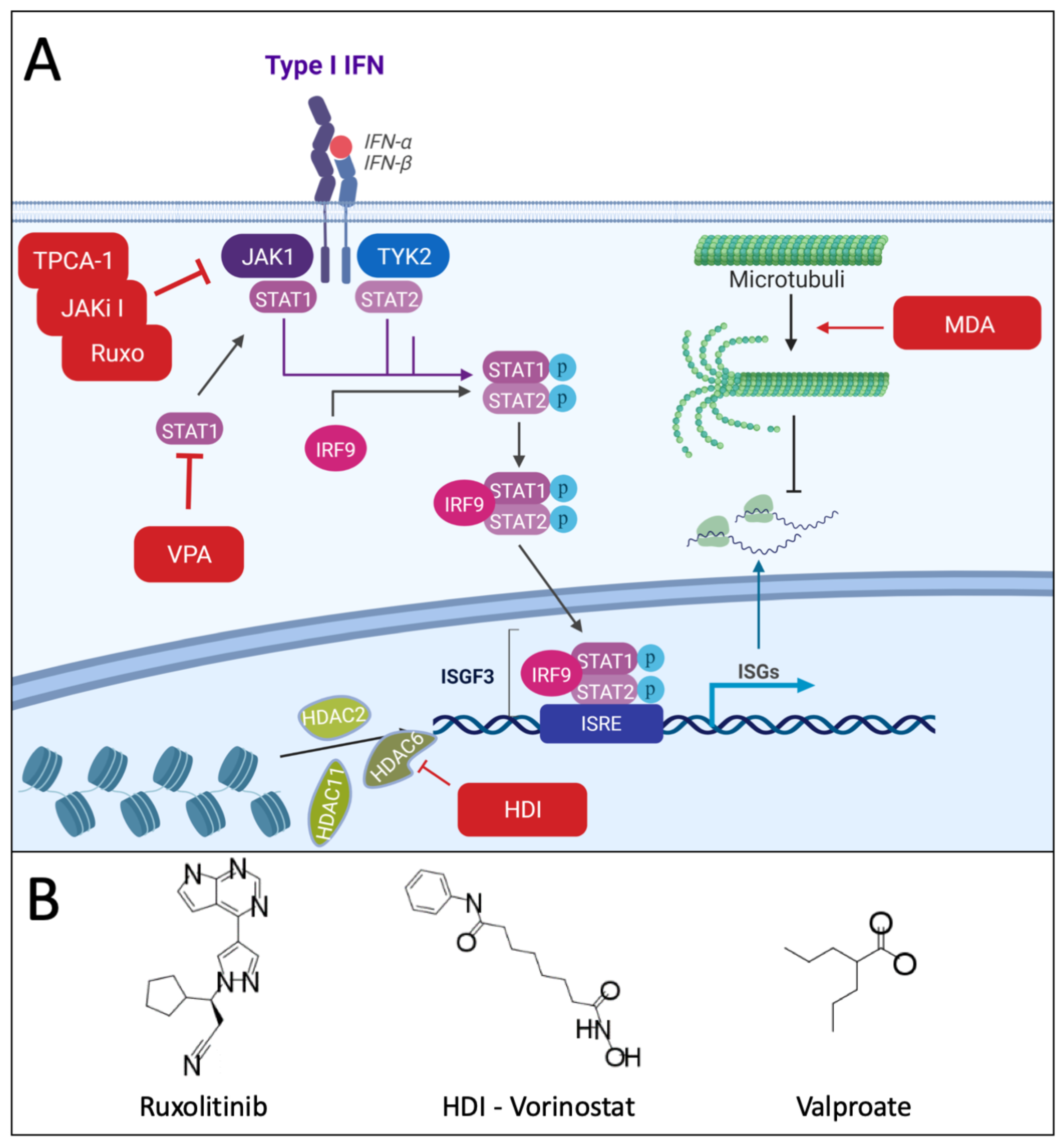 Cancers 13 03386 g001 Cancers 13 03386 g001