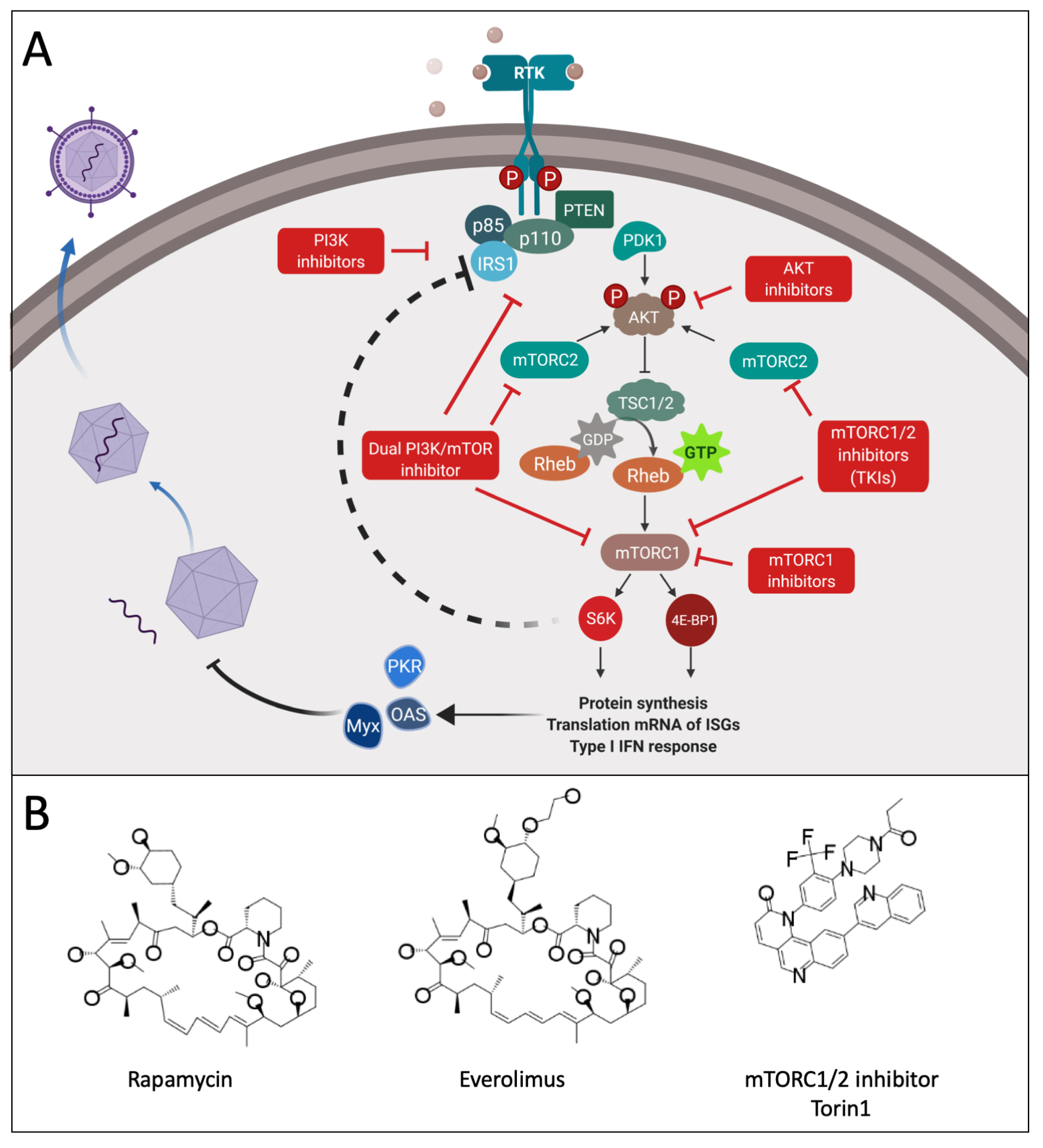 Cancers 13 03386 g003 Cancers 13 03386 g003