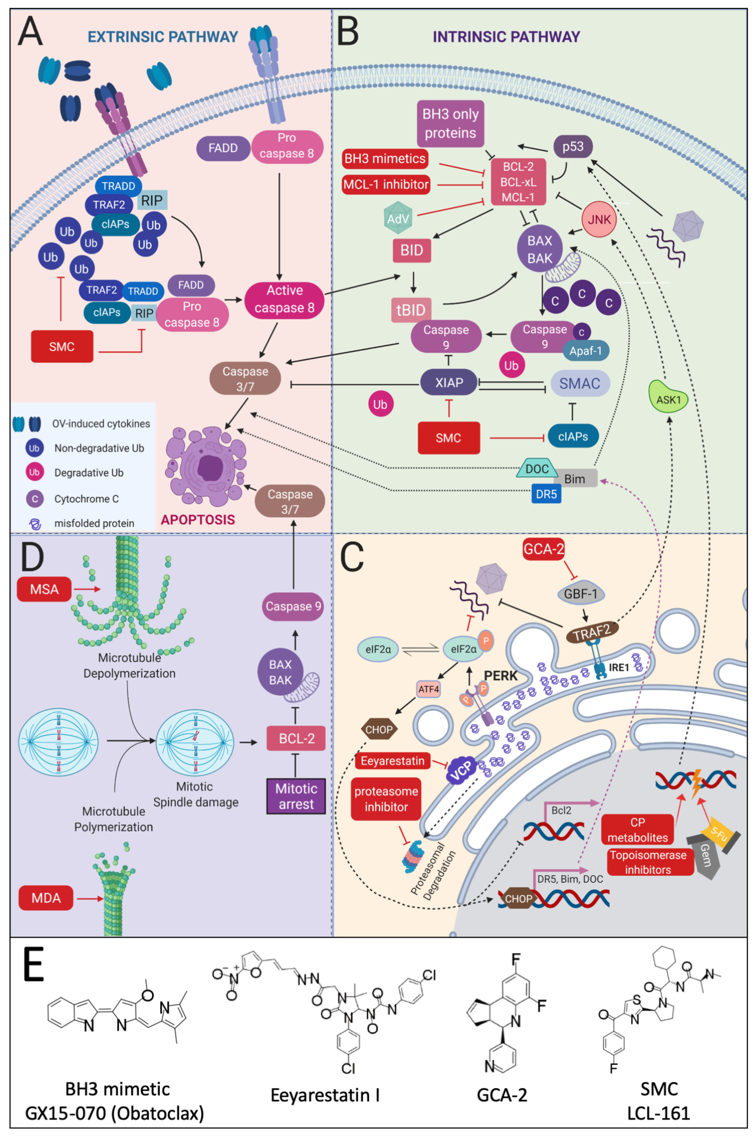 Cancers 13 03386 g004 Cancers 13 03386 g004