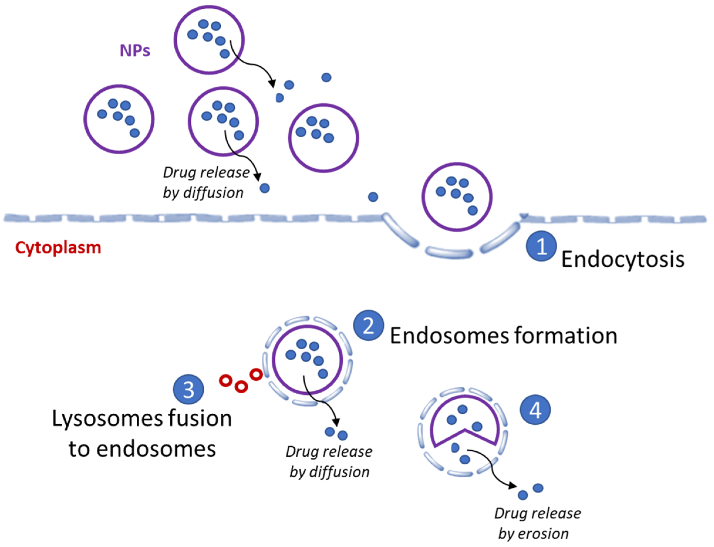 Cancers 13 03387 g005 Cancers 13 03387 g005