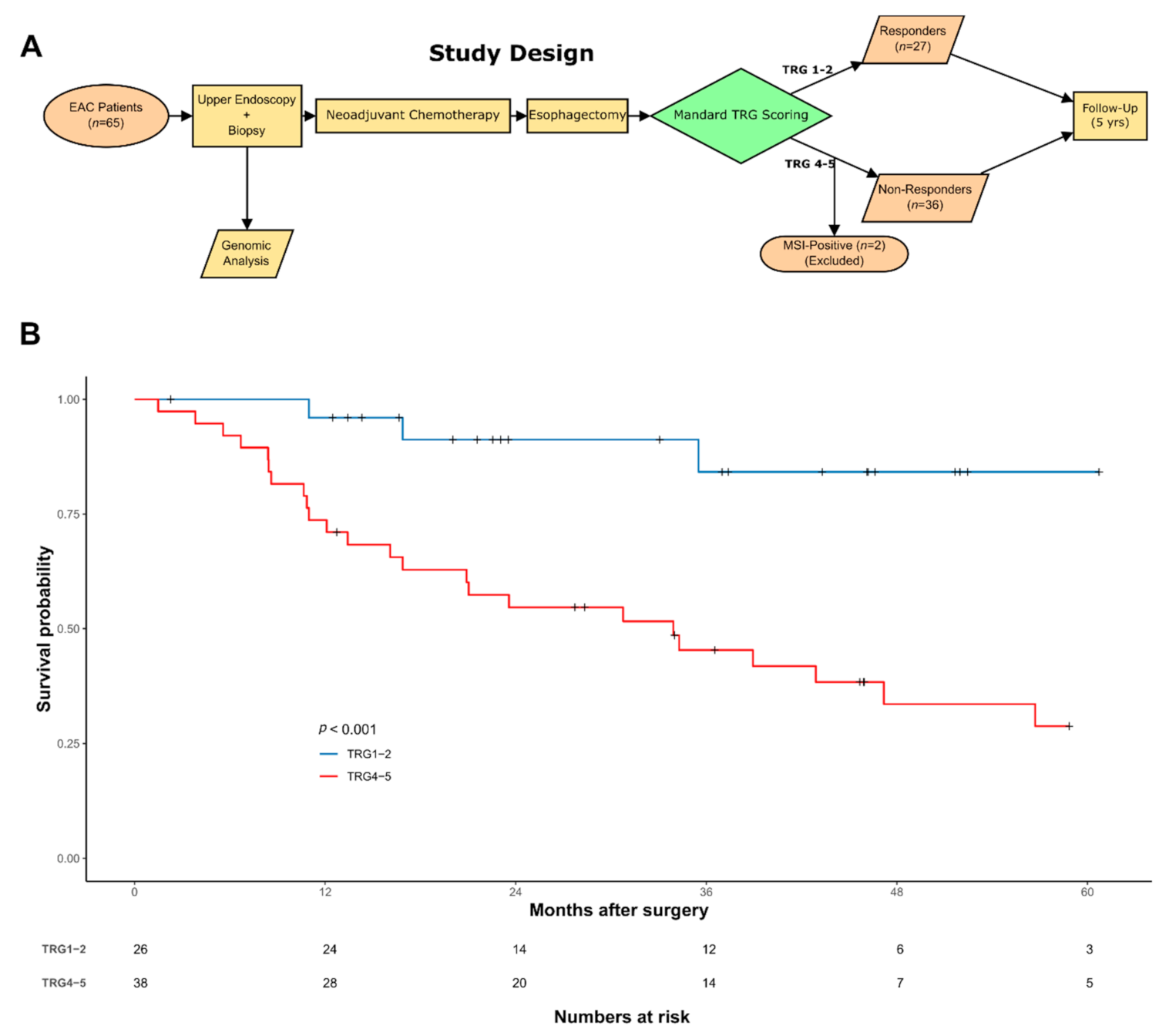 Cancers 13 03394 g001 Cancers 13 03394 g001