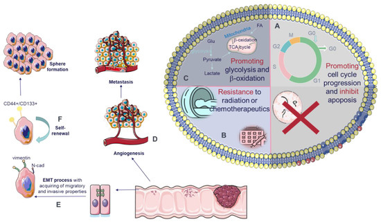 Oncogenic Functions and Clinical Significance of Circular