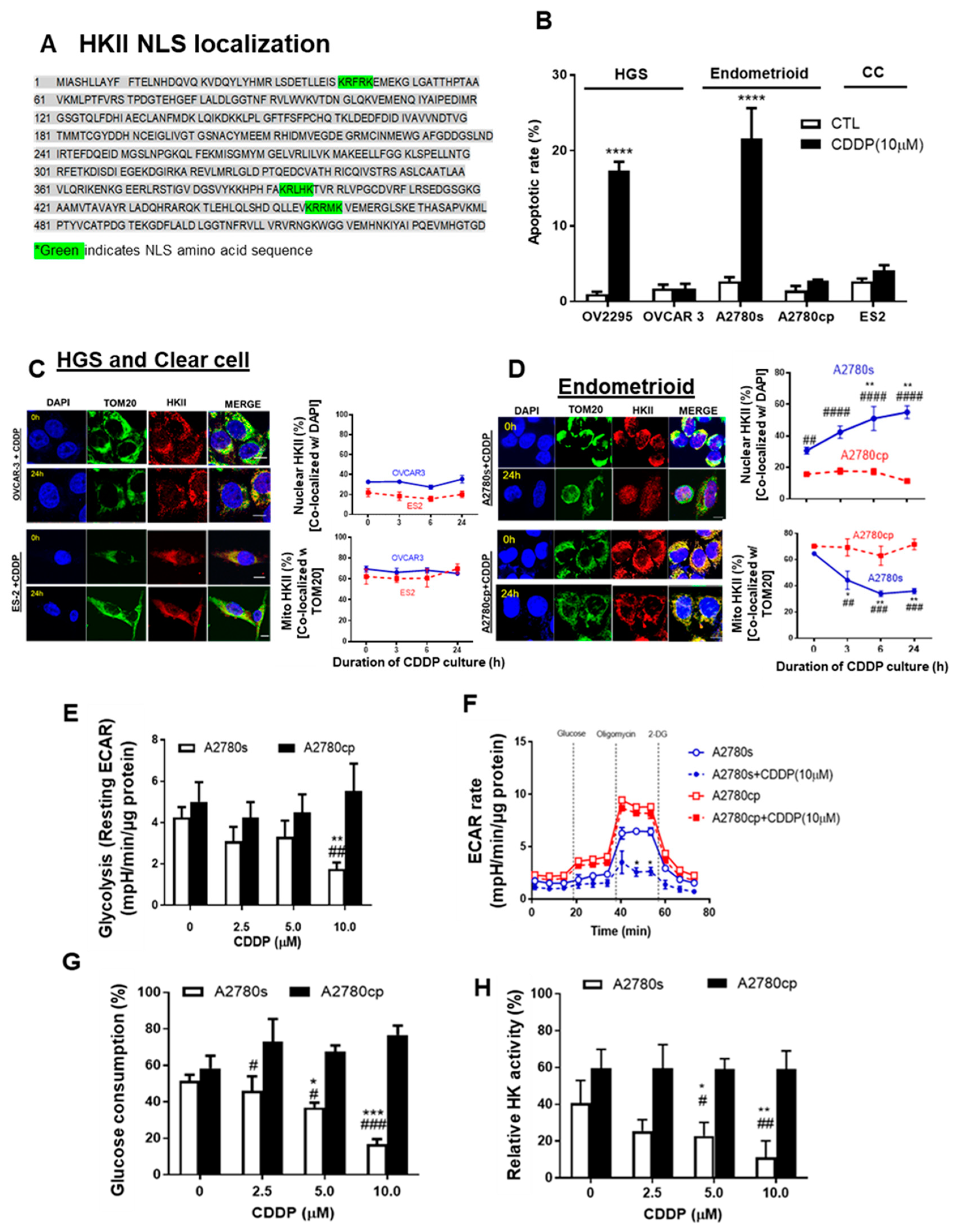 Cancers 13 03399 g003 Cancers 13 03399 g003