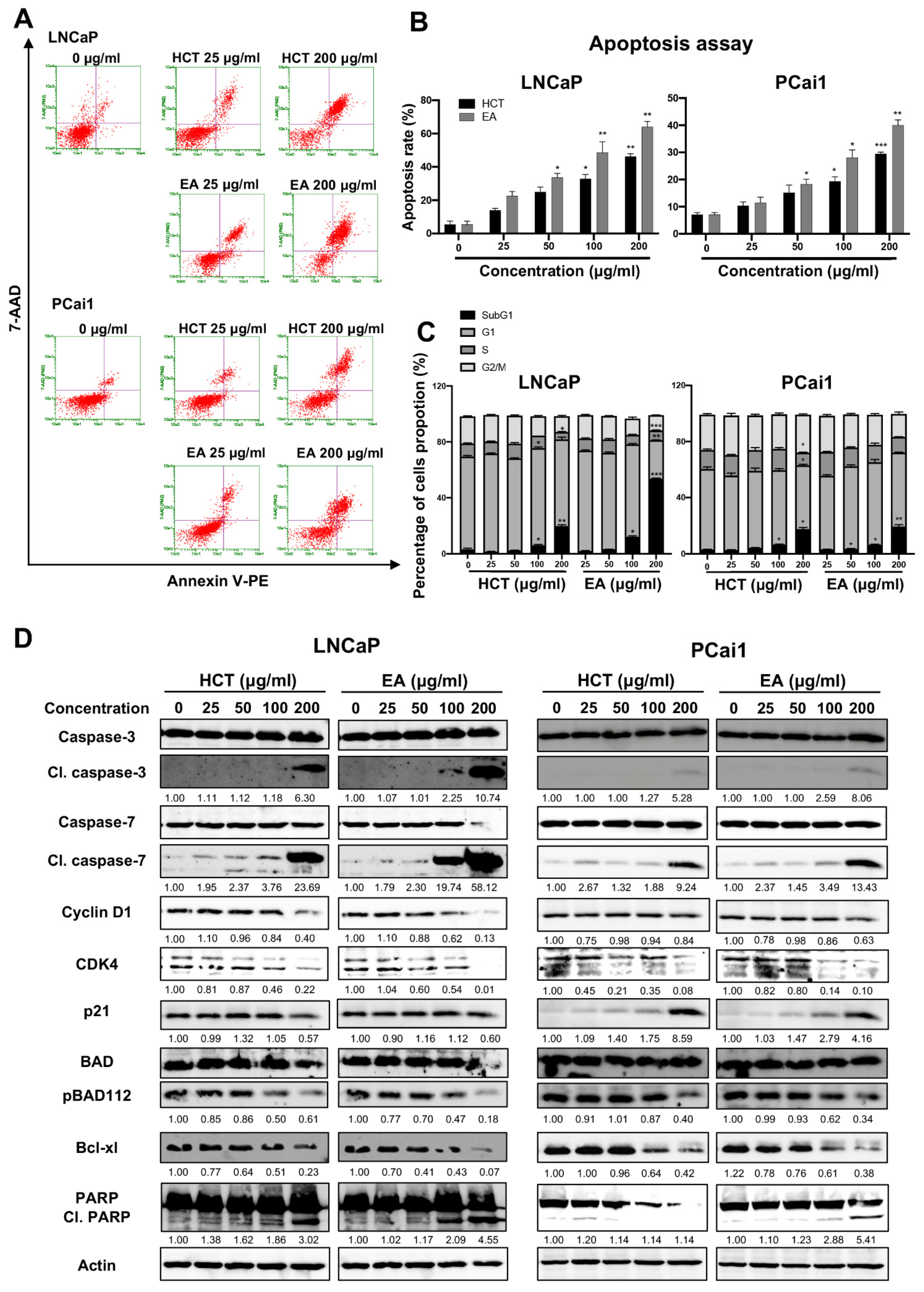 Cancers 13 03403 g003 Cancers 13 03403 g003