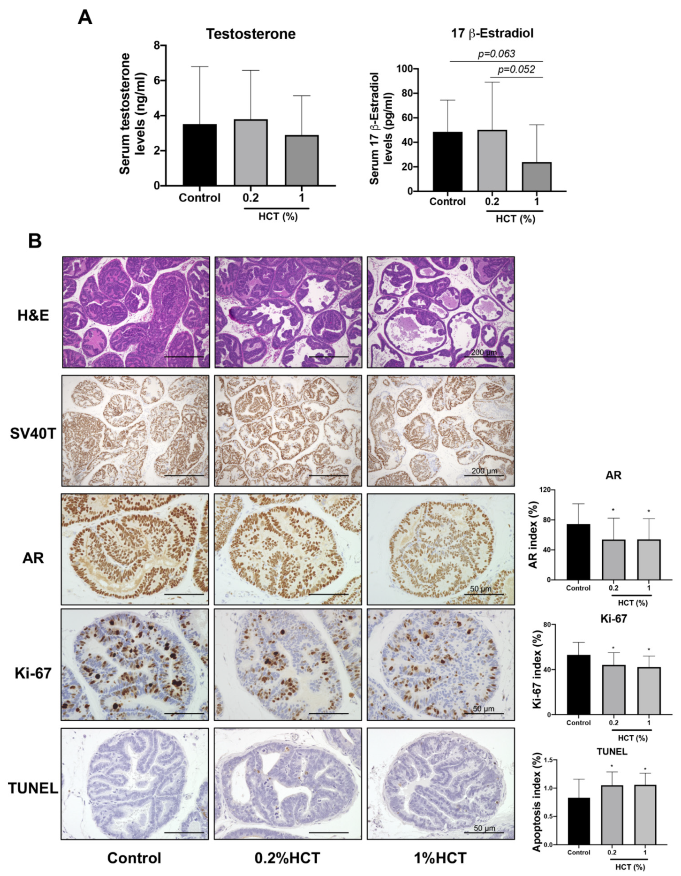 Cancers 13 03403 g007 Cancers 13 03403 g007