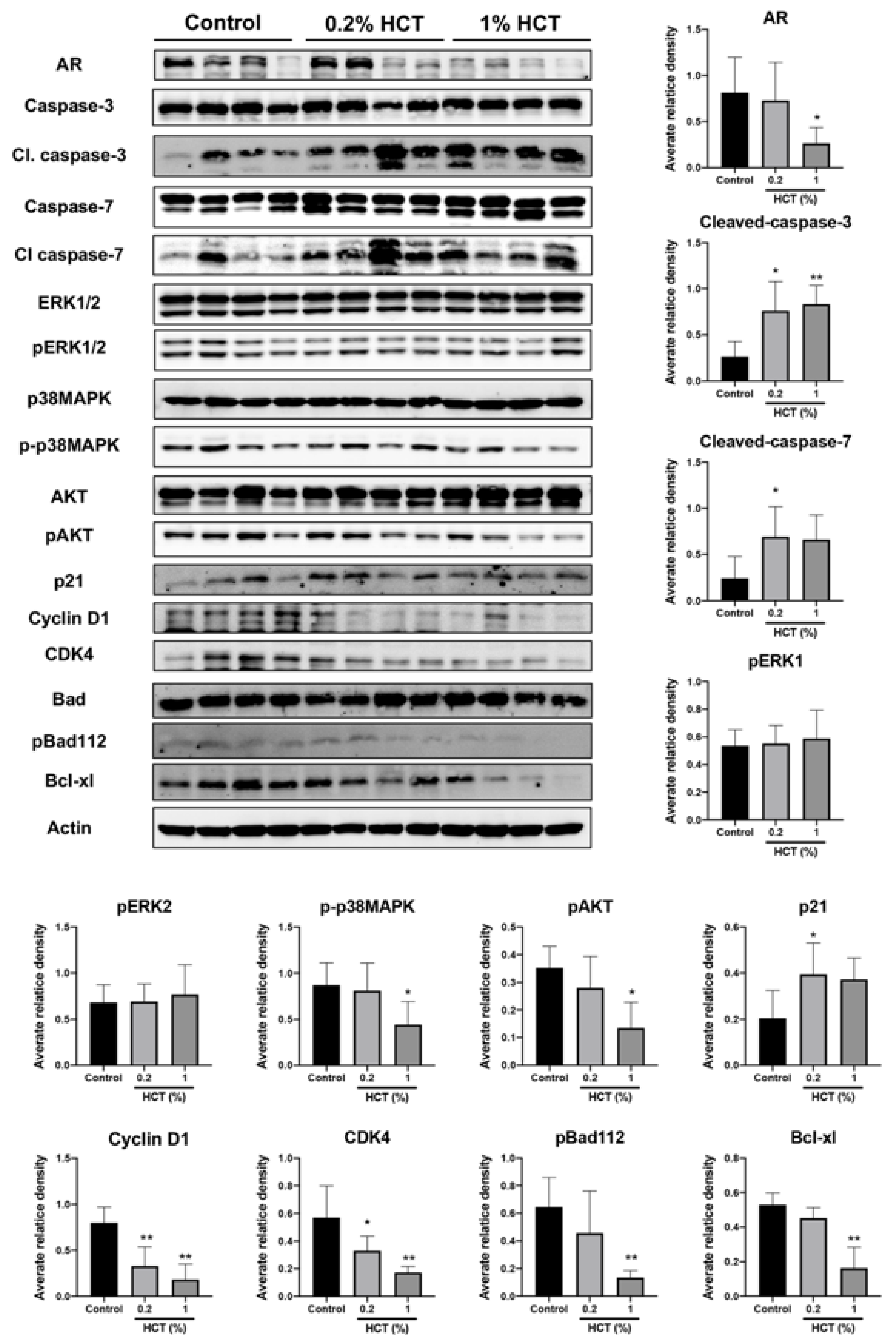 Cancers 13 03403 g008 Cancers 13 03403 g008