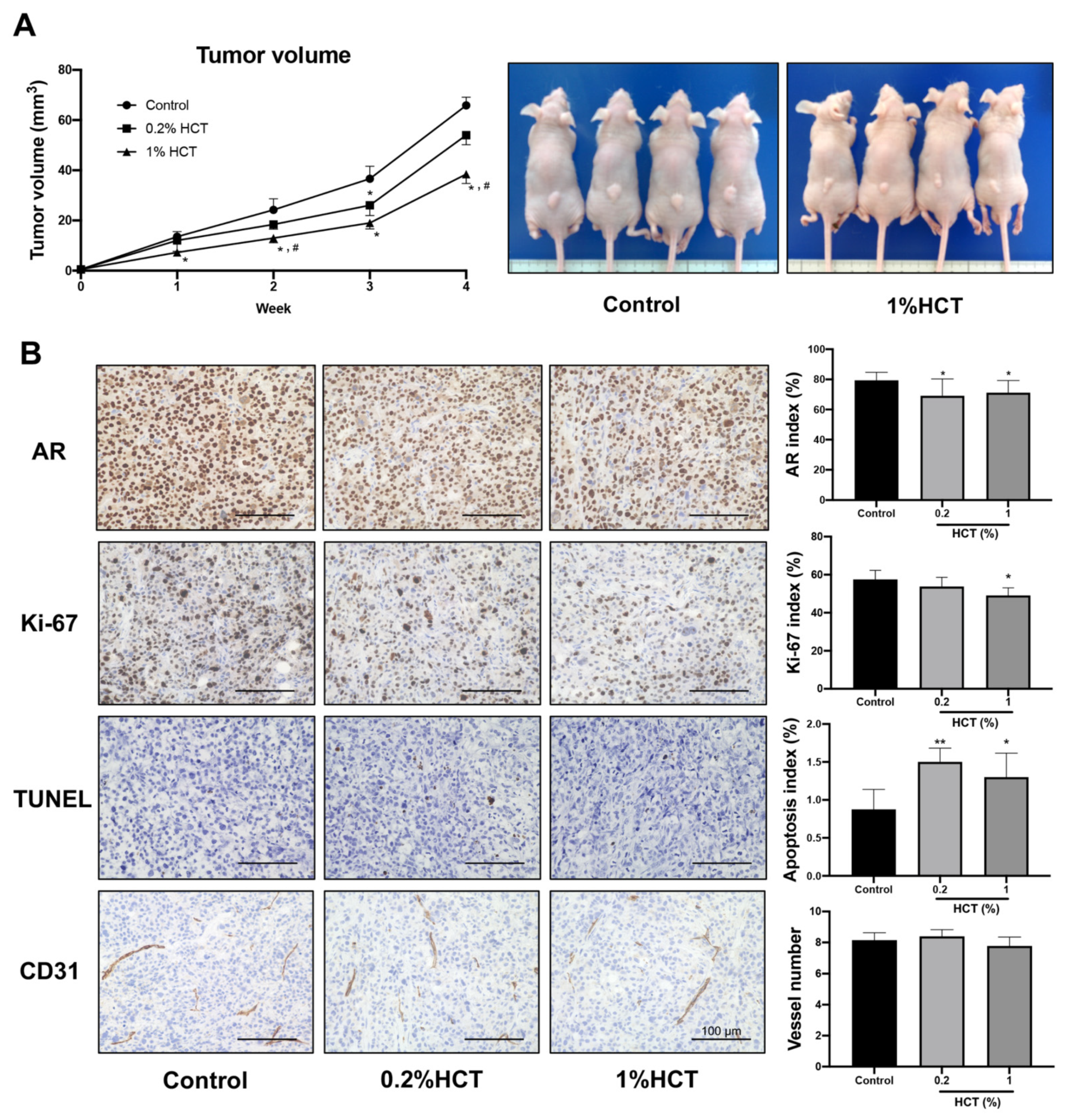 Cancers 13 03403 g009 Cancers 13 03403 g009