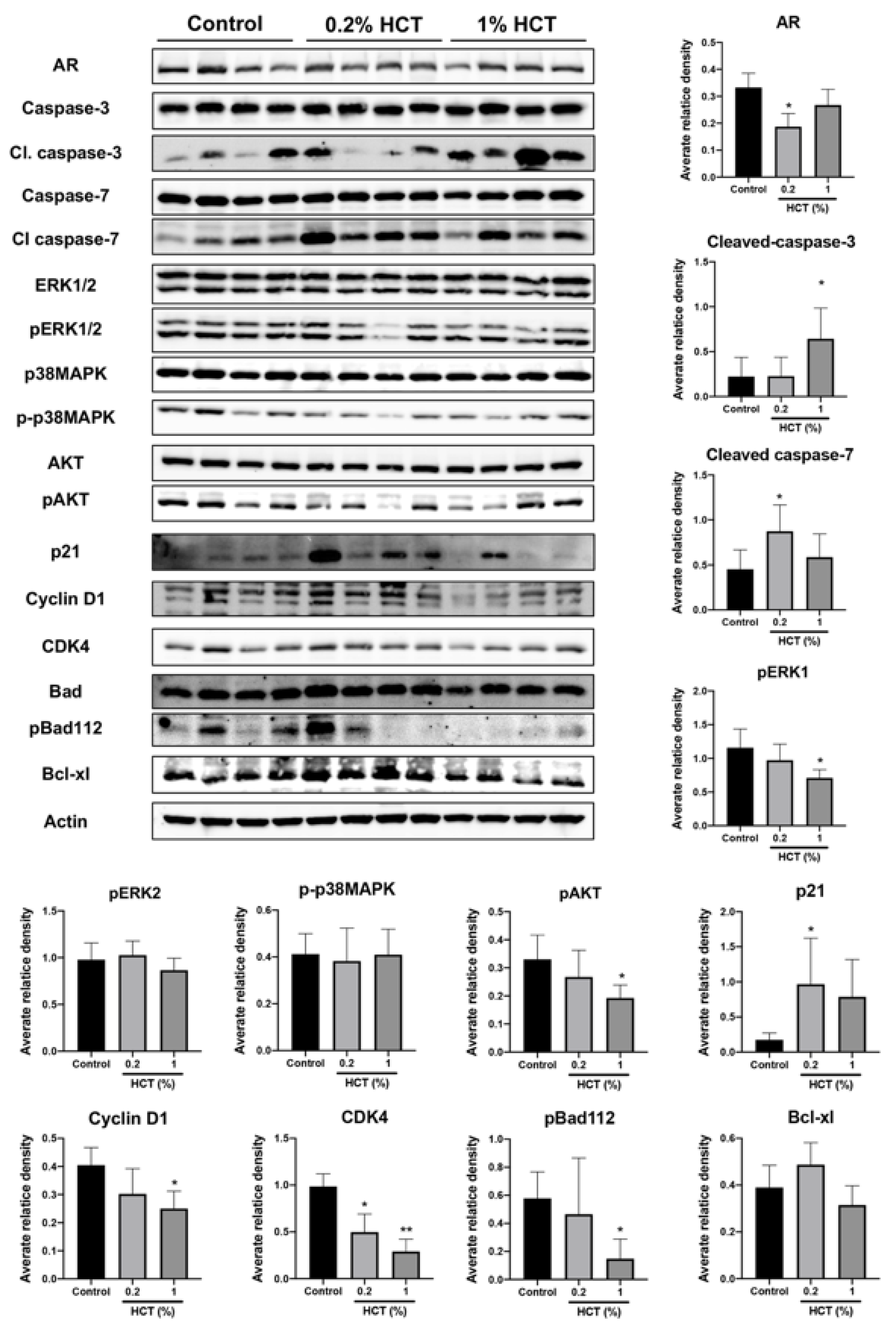 Cancers 13 03403 g010 Cancers 13 03403 g010
