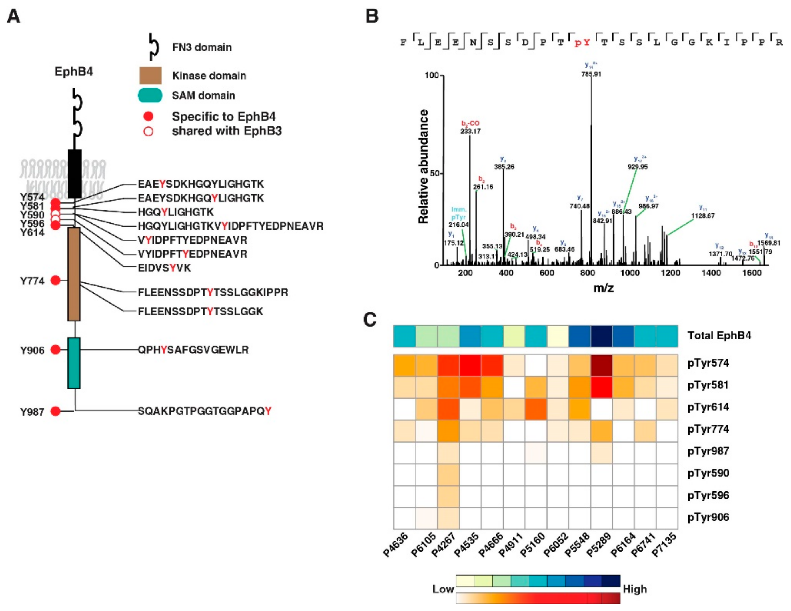 Cancers 13 03404 g005 550