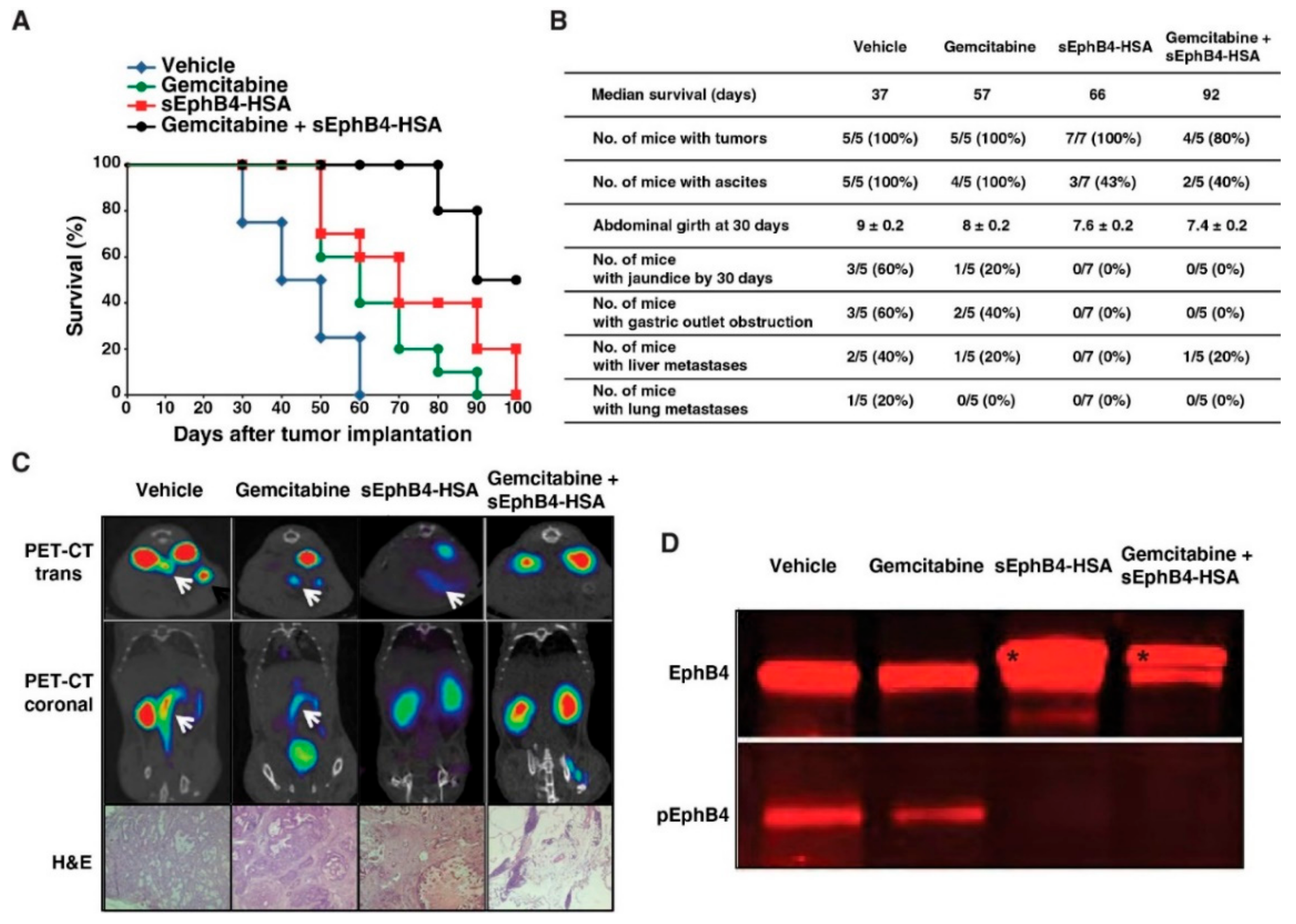 Cancers 13 03404 g006 550
