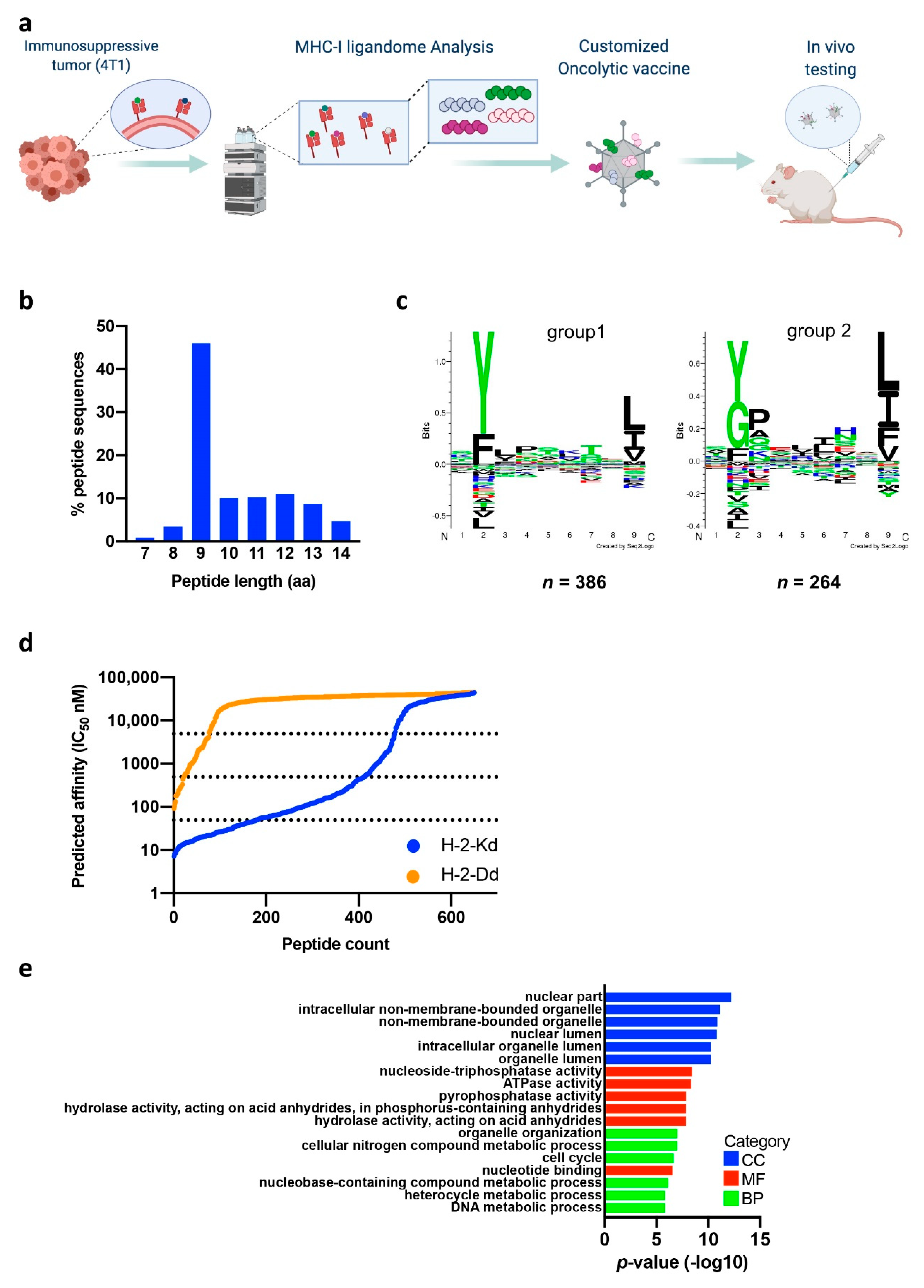 Cancers 13 03408 g001