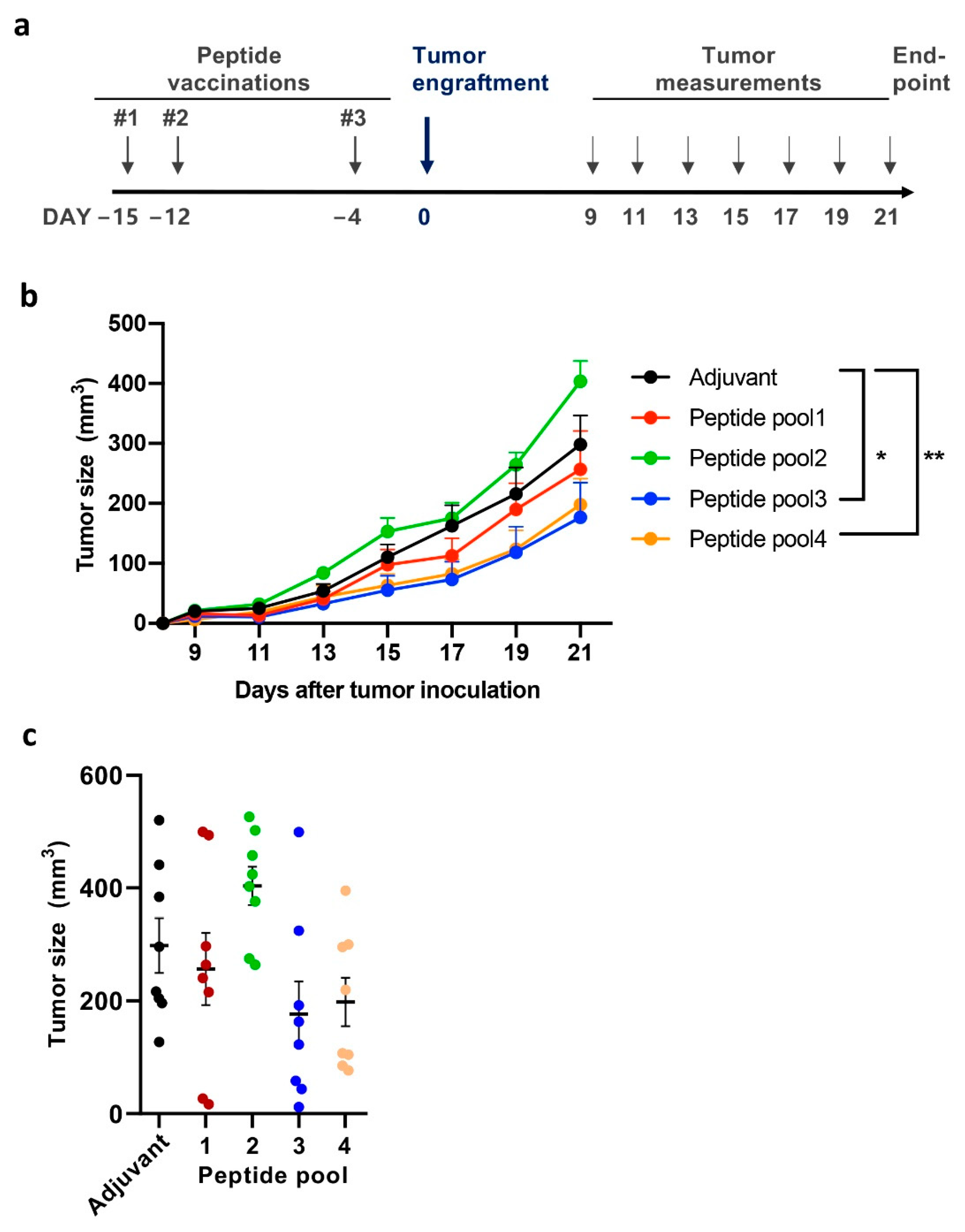 Cancers 13 03408 g002